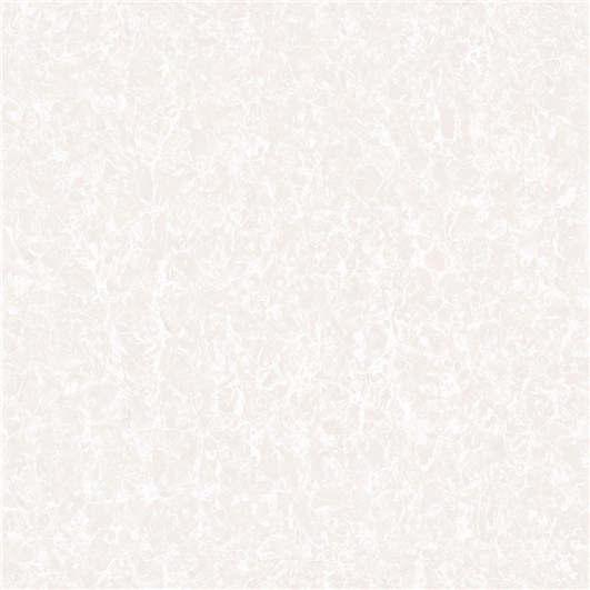 FP60702 FP80702 普拉提