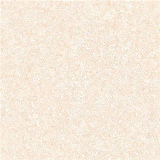 FV61601 FV81601 郁金香