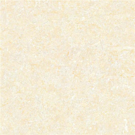 FV61603 FV81603 郁金香