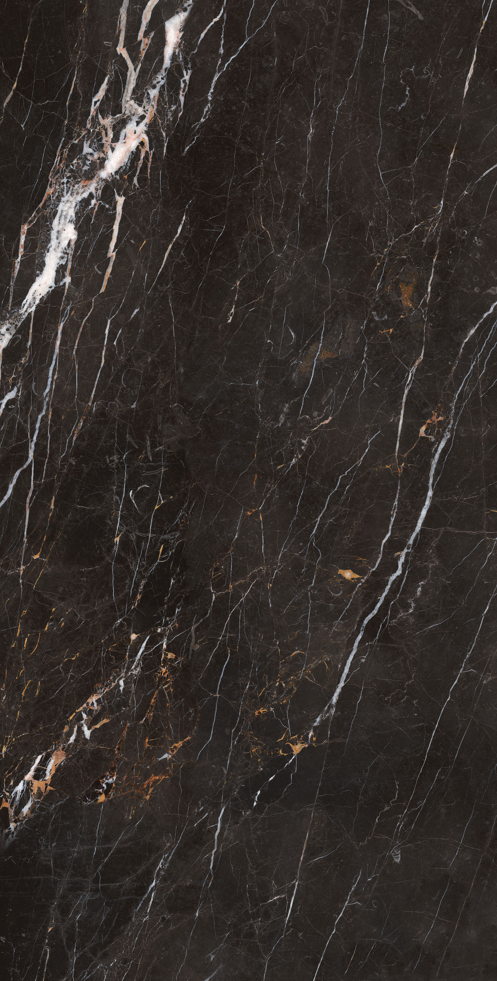 FB18004 卡里羅納(加黑版）