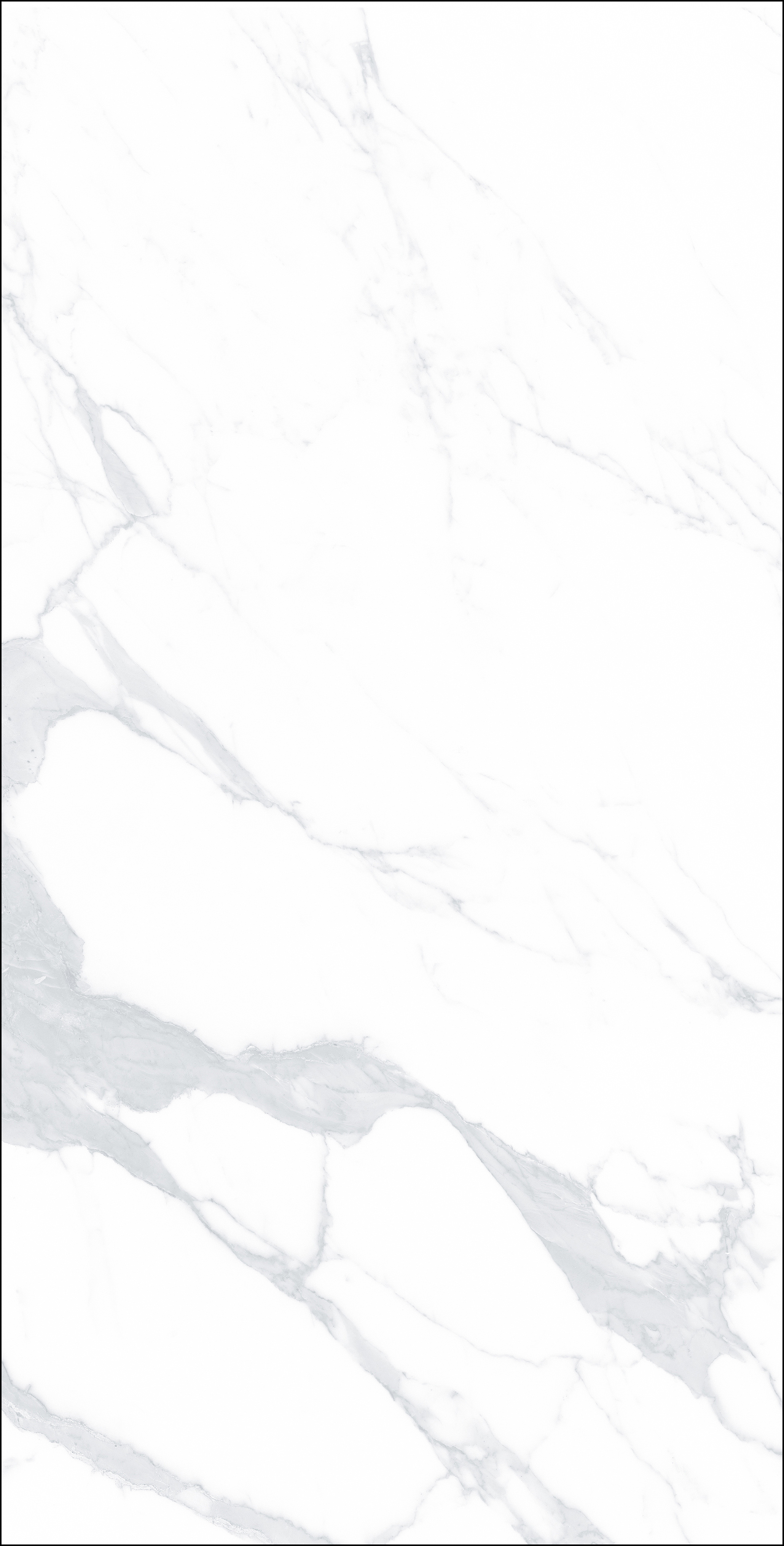 FB18005 歐普爵士白