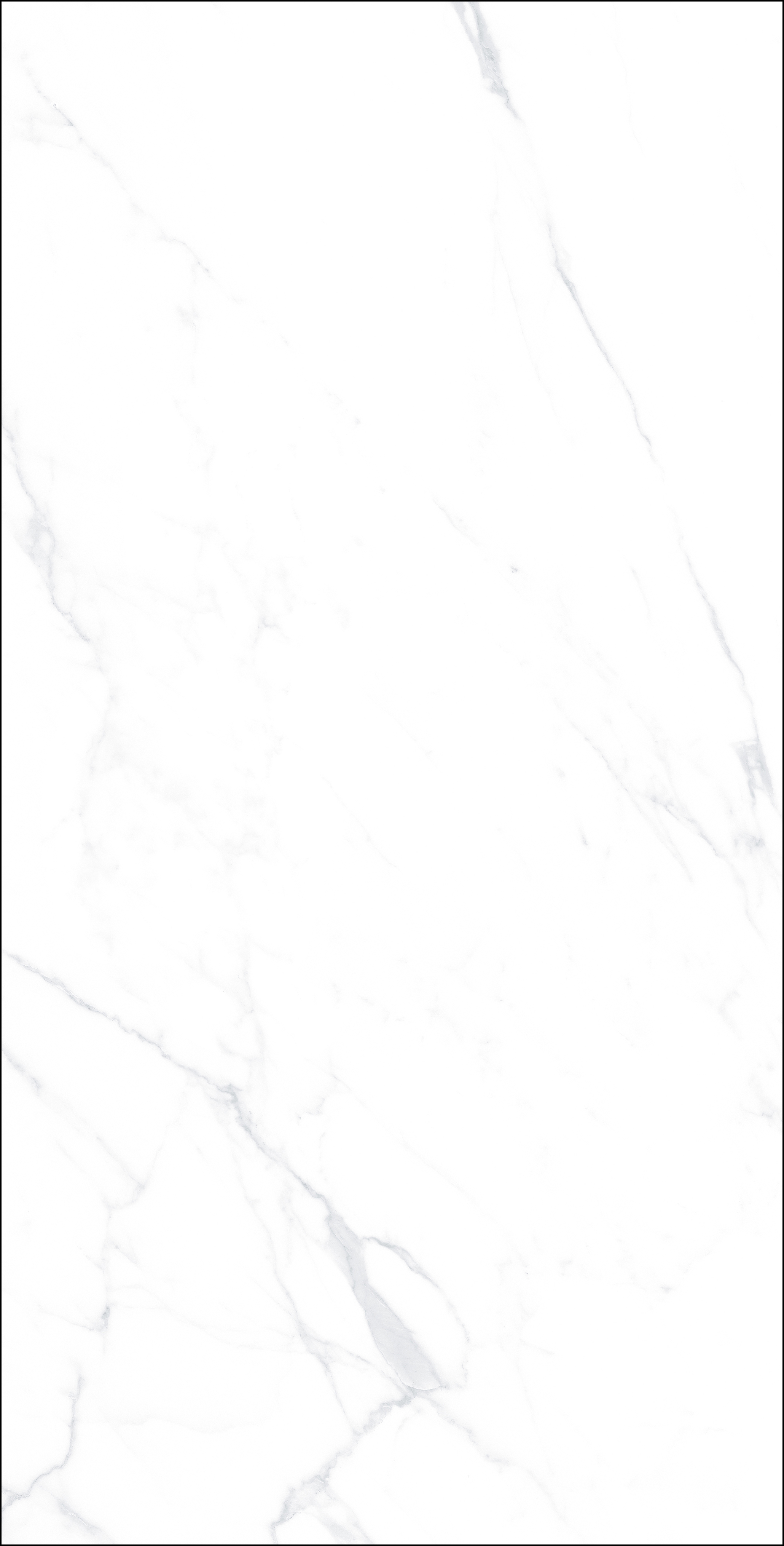 FB18005 歐普爵士白