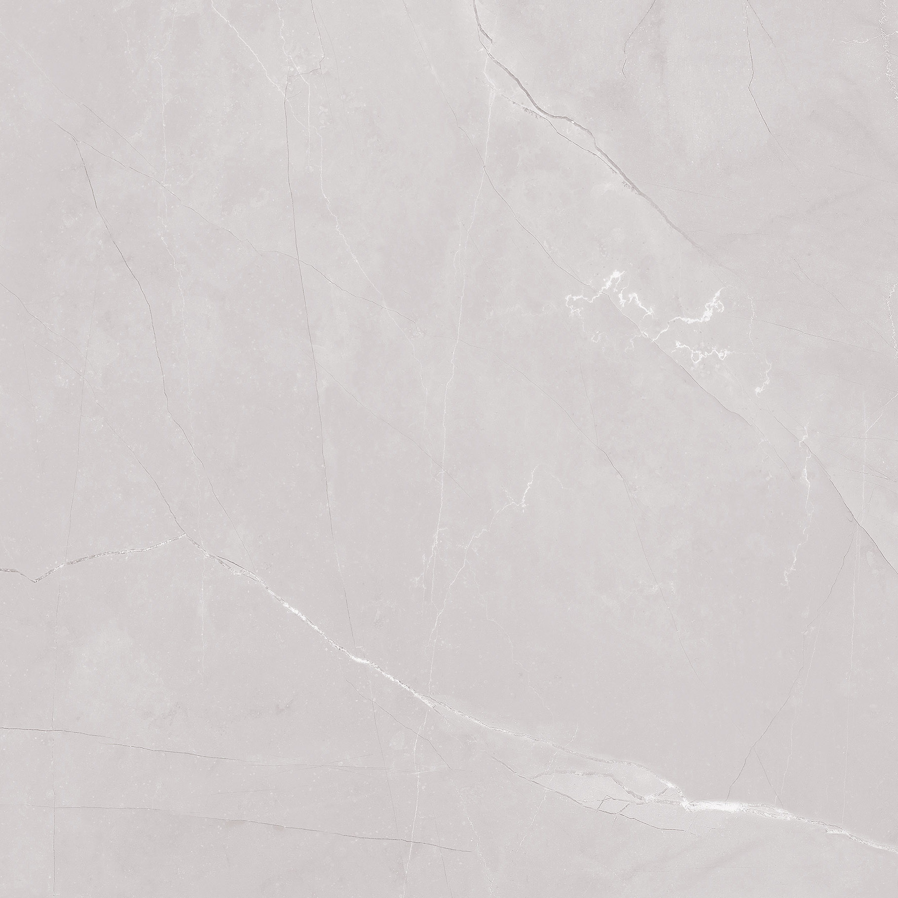 #OFTT80014B 維羅納