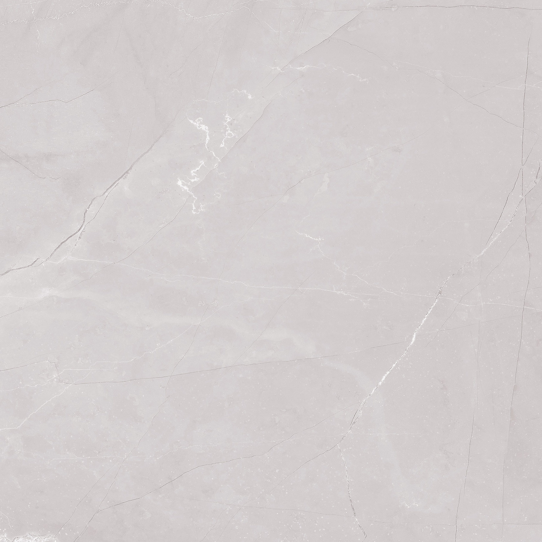 #OFTT80014B 維羅納