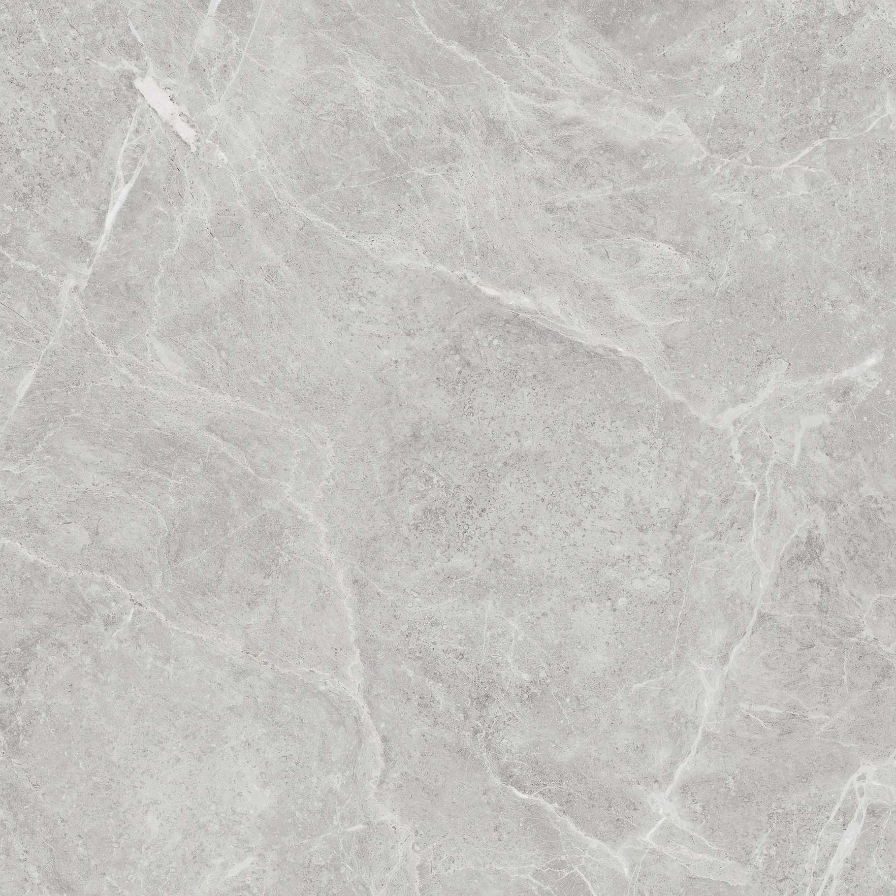 OFTT80018B 達爾曼灰