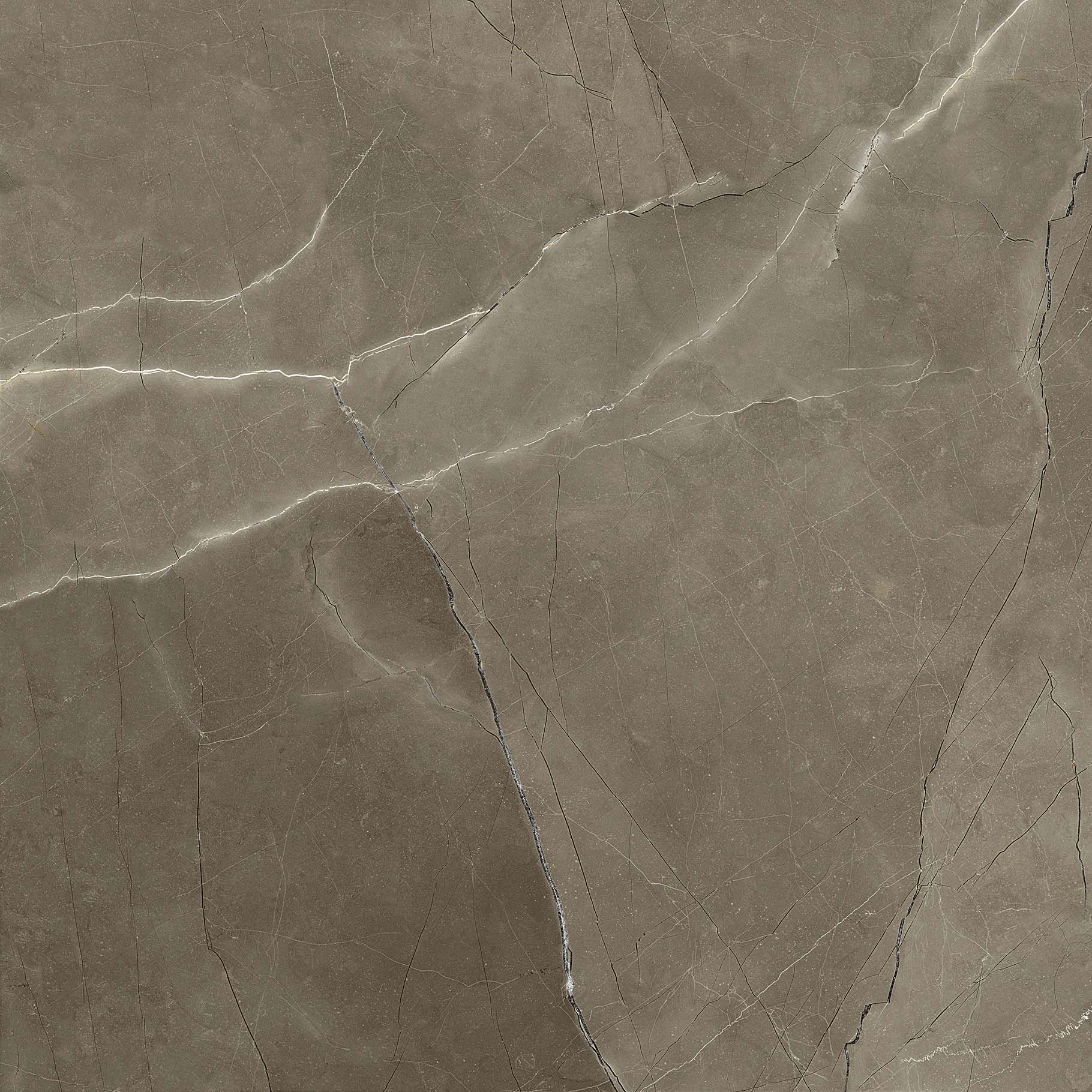 #OFTT80017B 圣羅蘭