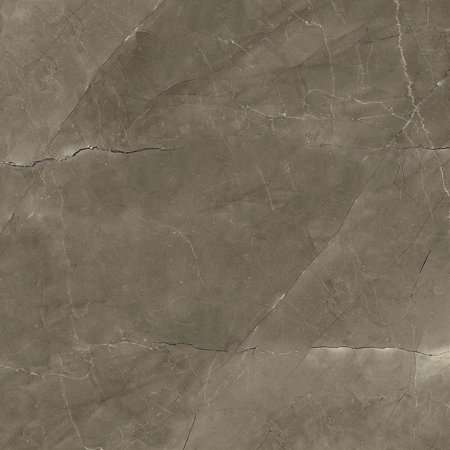 #OFTT80017B 圣羅蘭