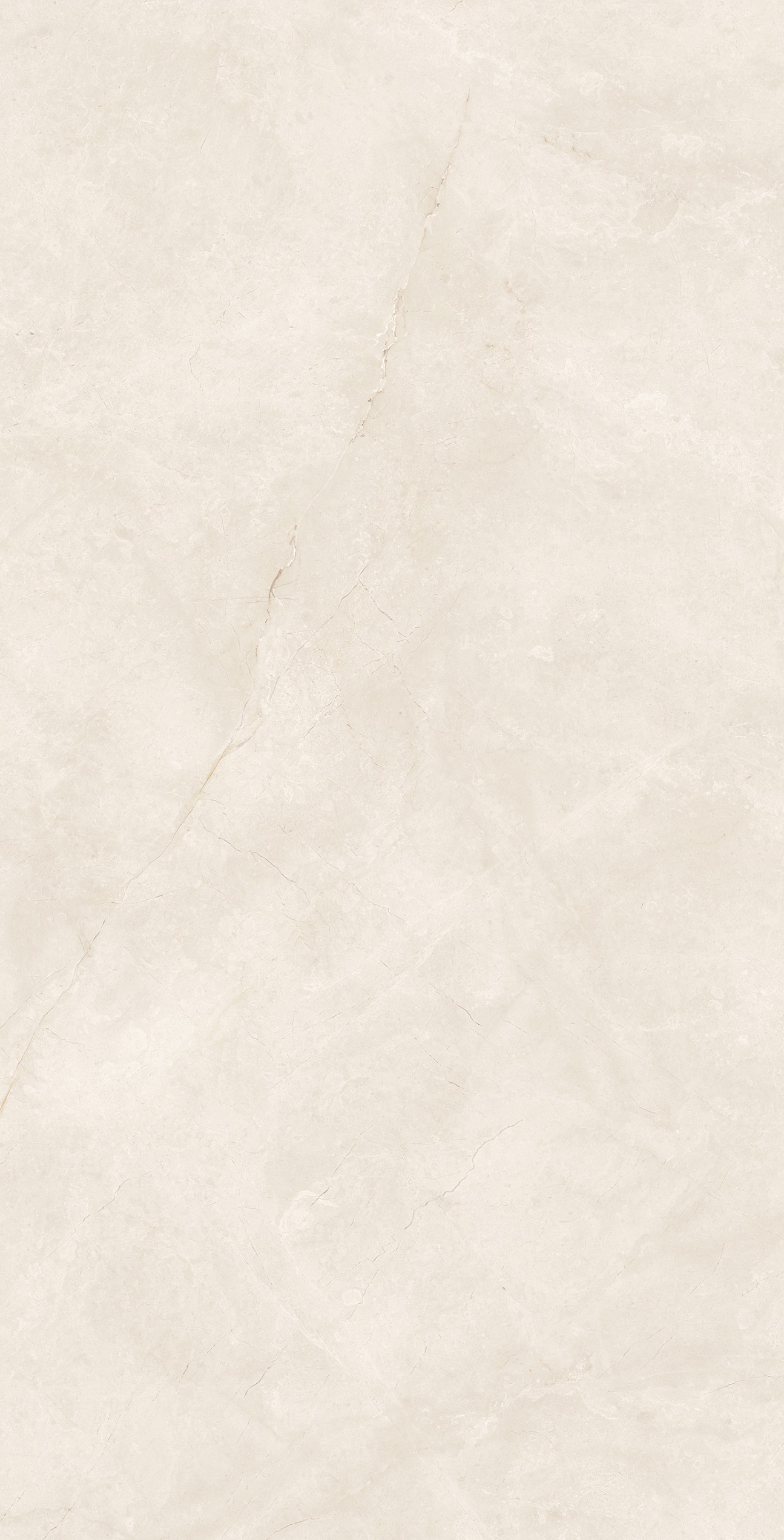 FTB12059 都拉斯米黃