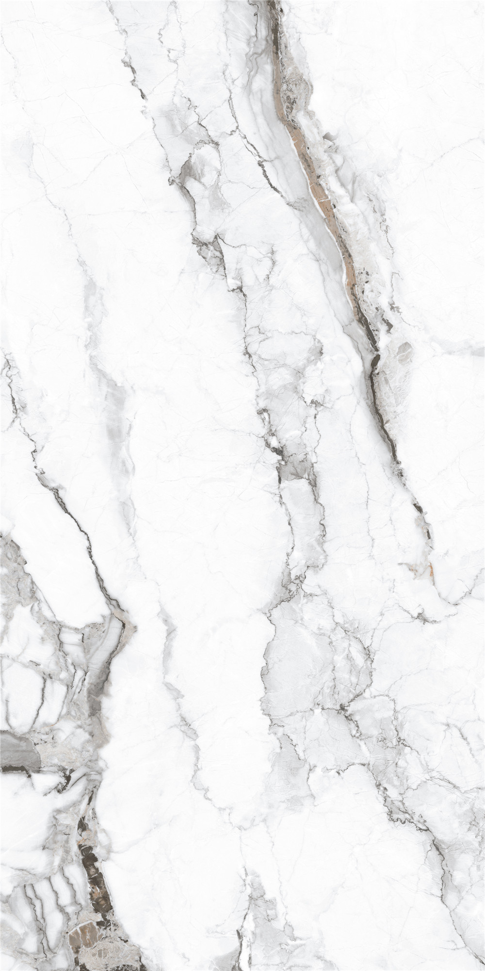 FTB18019 卡若拉白