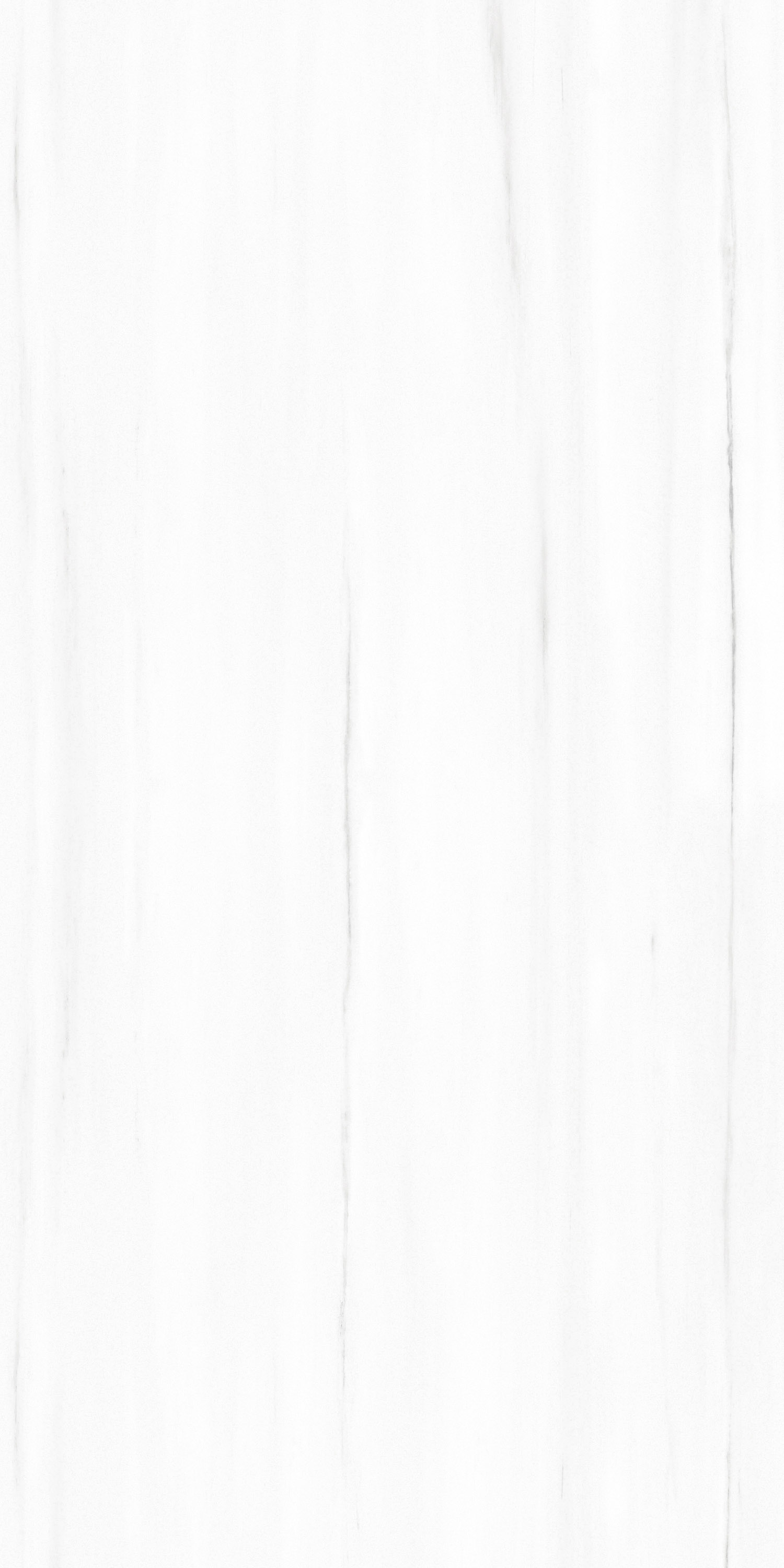 FTB15002 土耳其星白