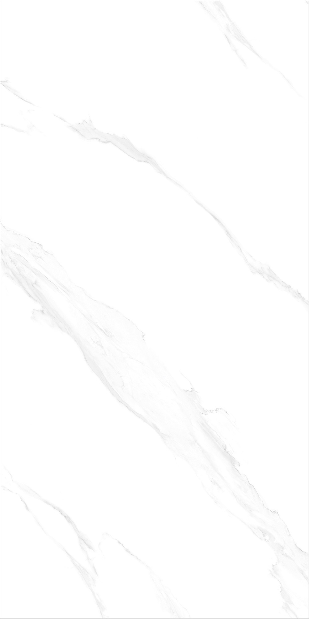 FTB15014 安娜白（連紋）