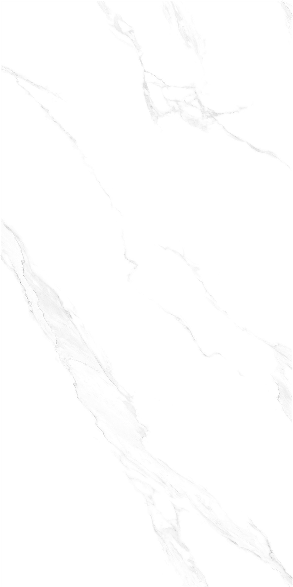 FTB15014 安娜白（連紋）