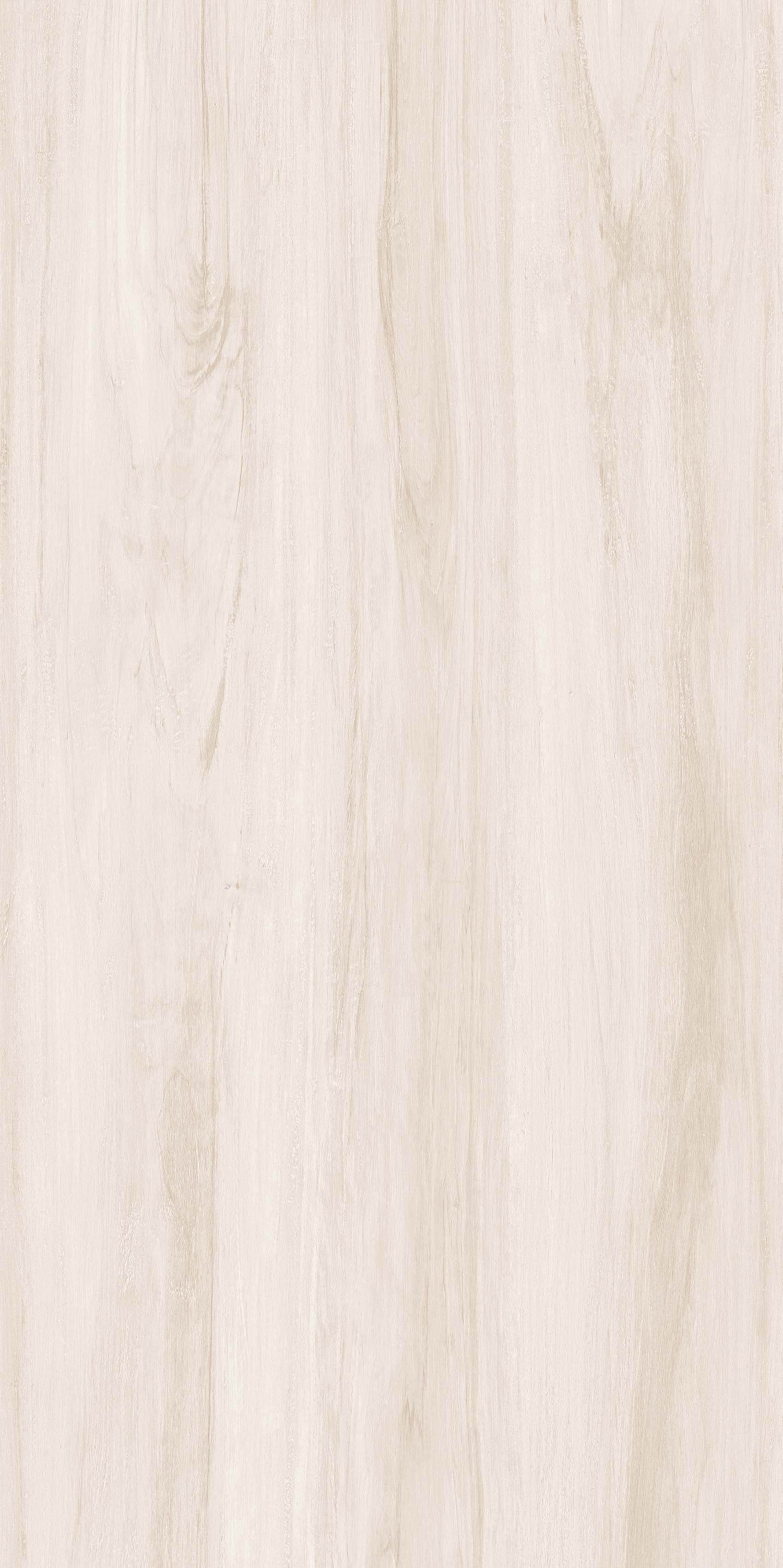 OFTD15010 薄暮森林