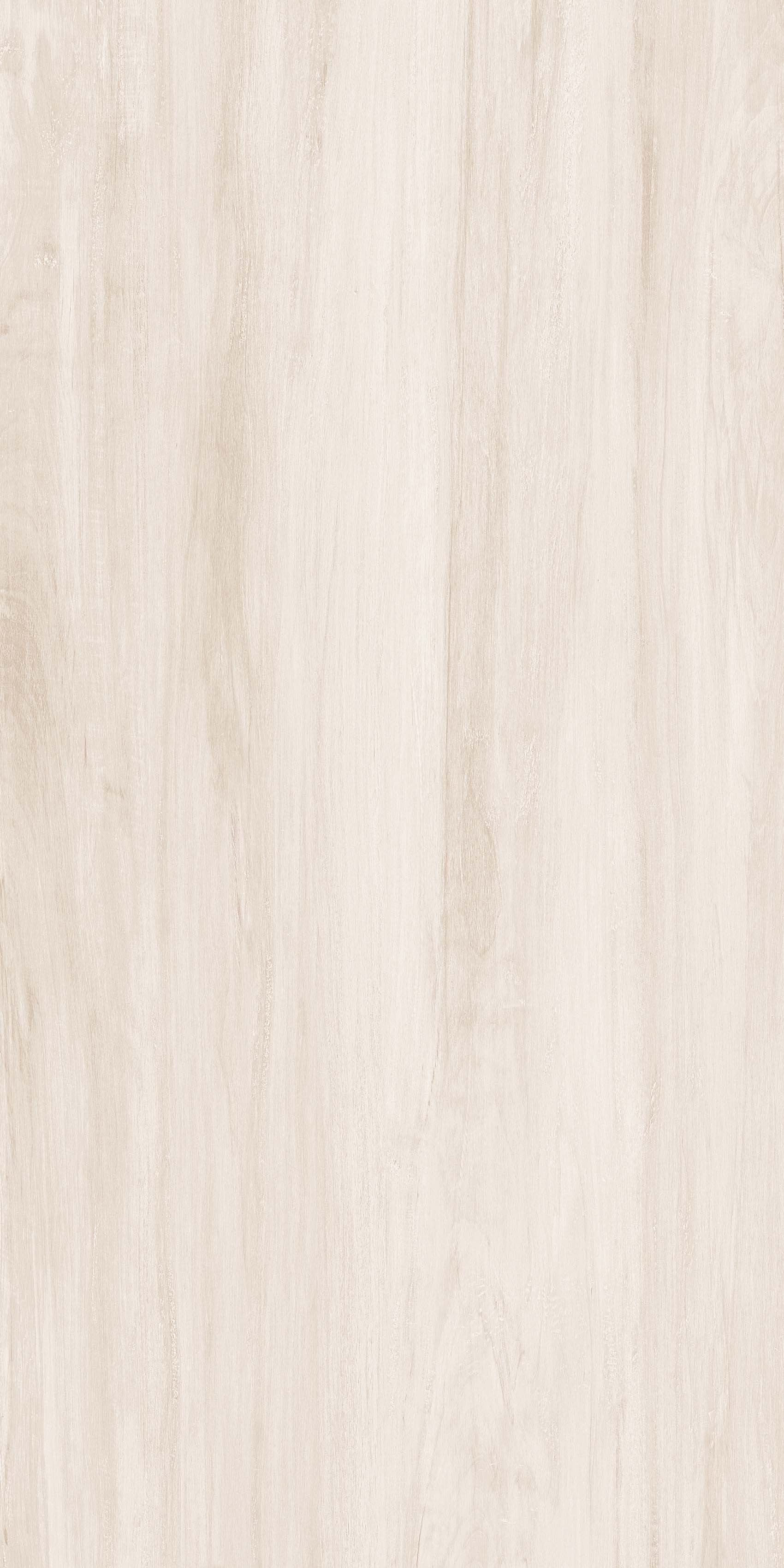 OFTD15010 薄暮森林