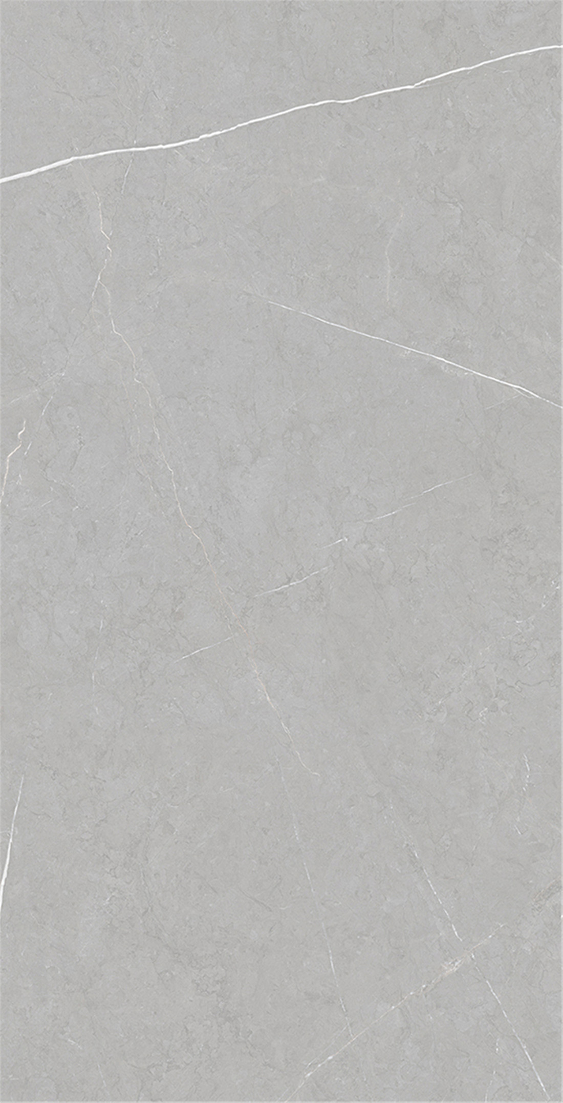 FTB12035 保加利亞