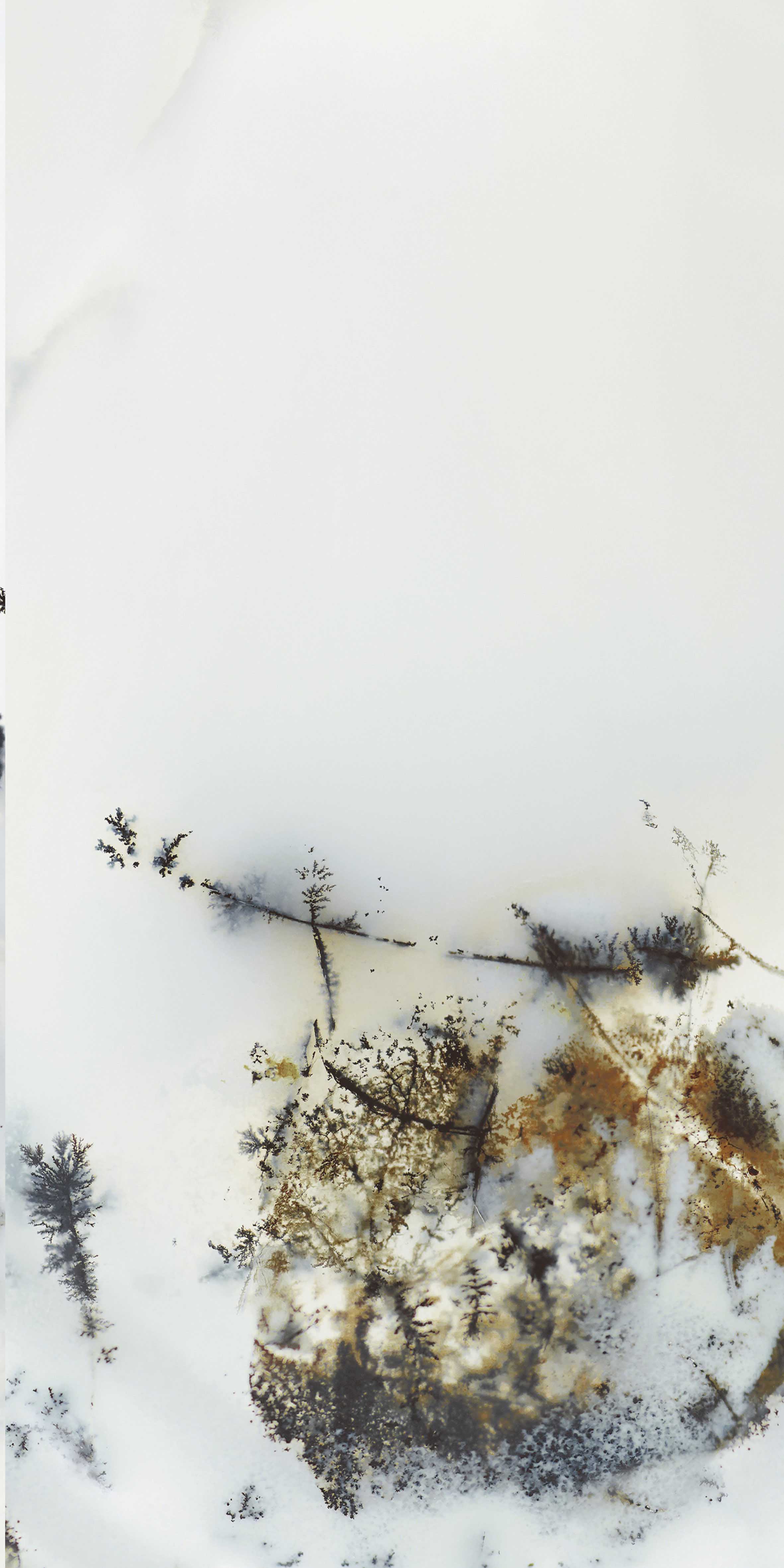 FTB12066 煙雨松露