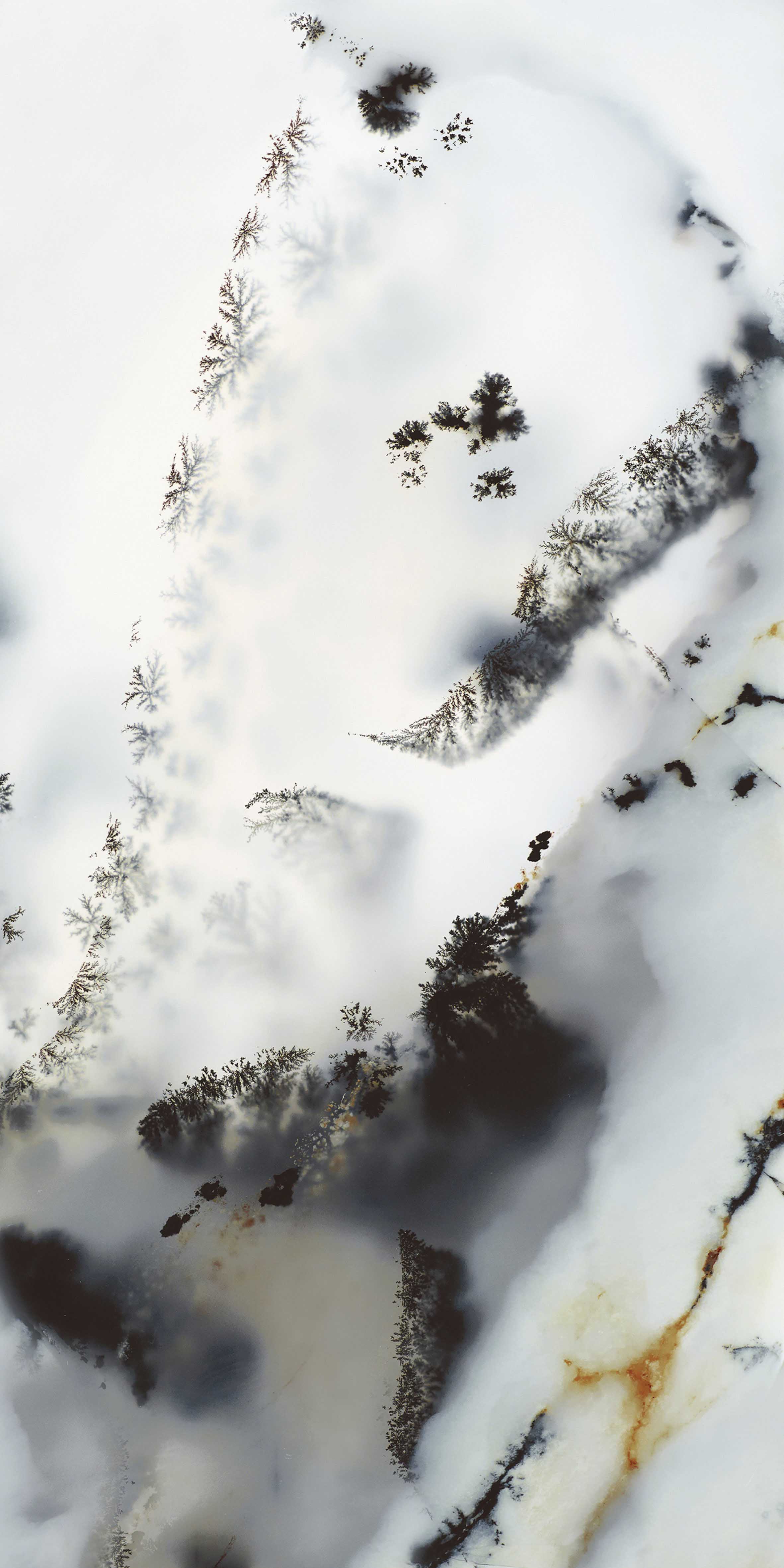 FTB12066 煙雨松露