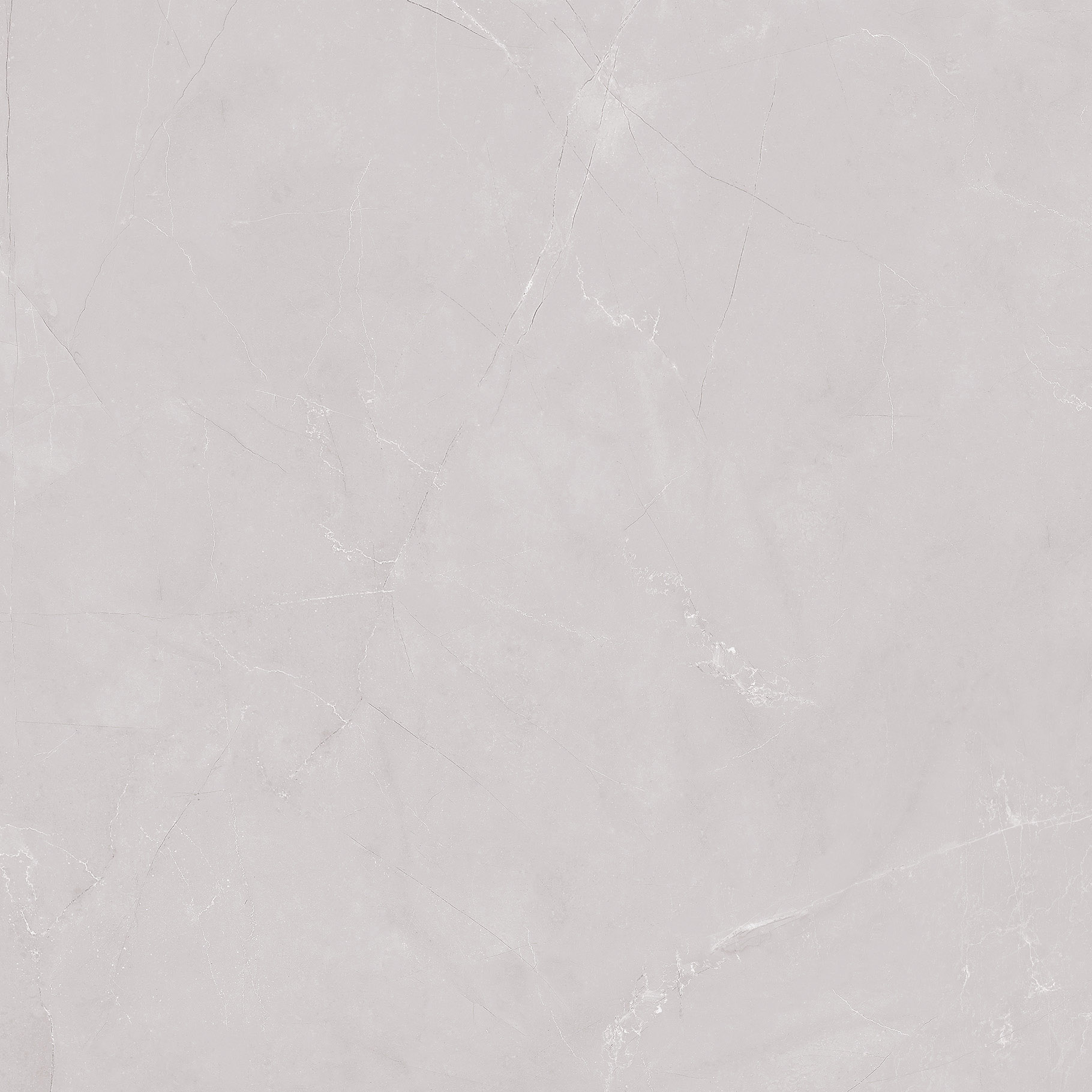 #OFTT80014B 維羅納