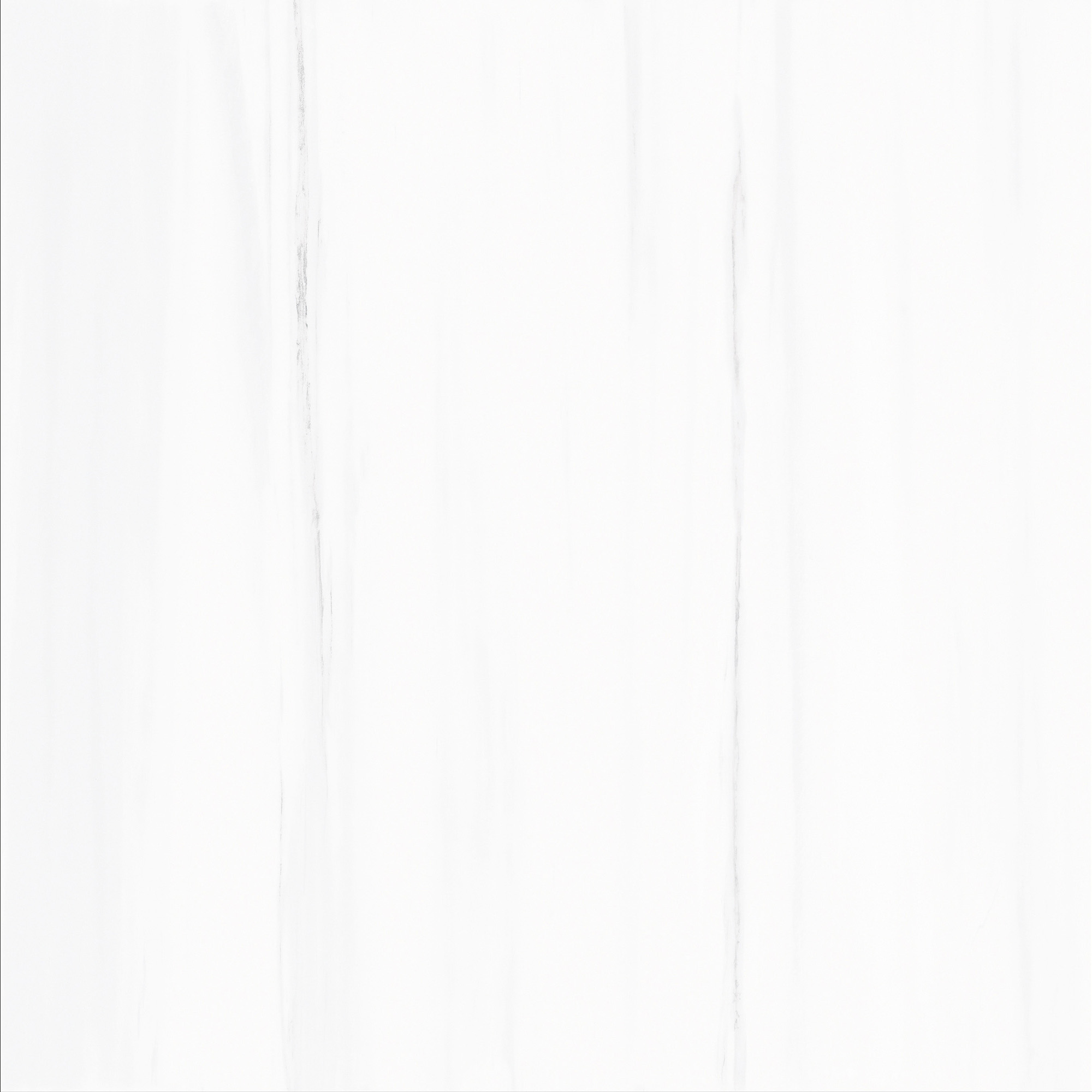 FCYB80089 土耳其星白