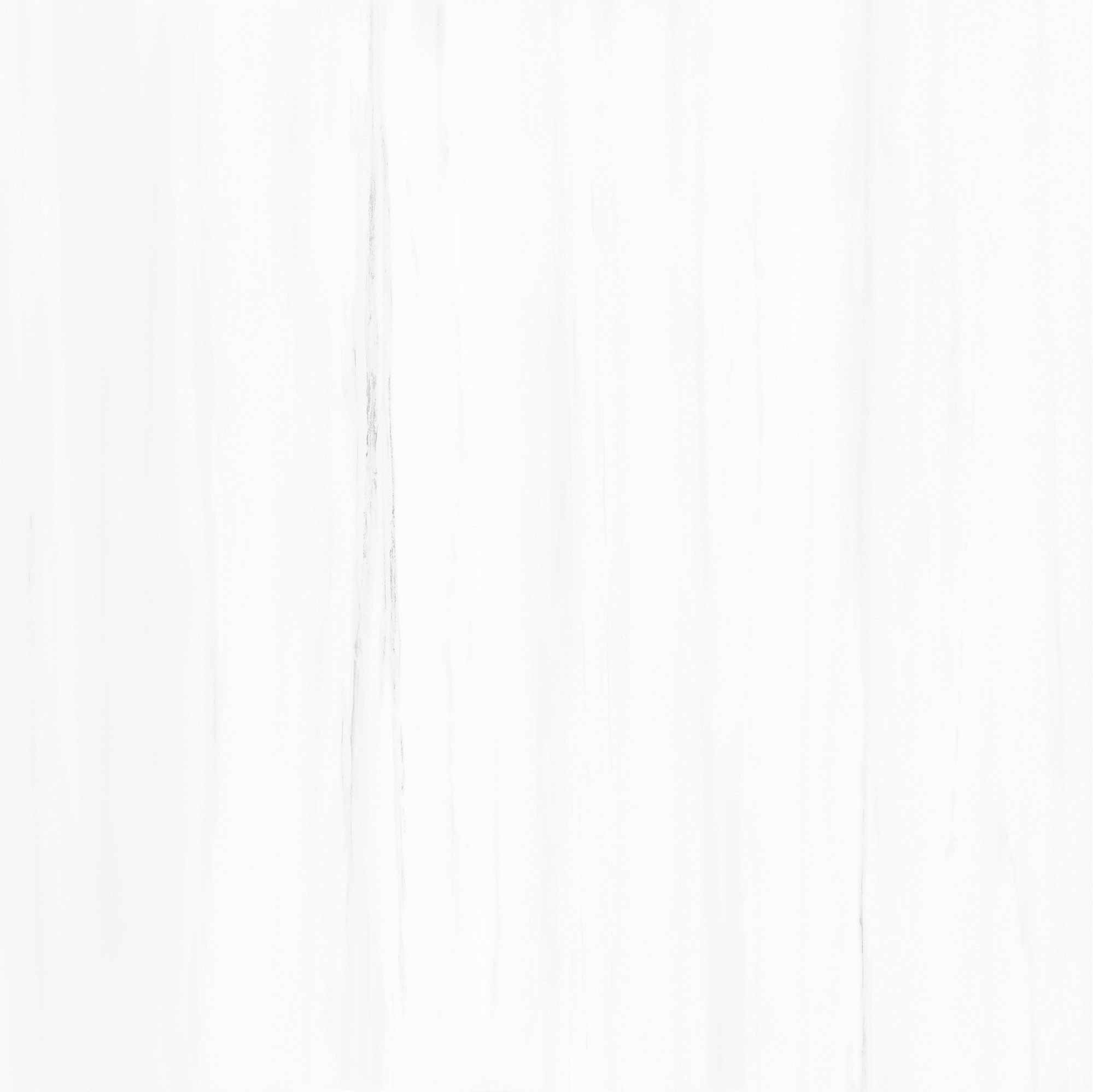 FCYB80089 土耳其星白