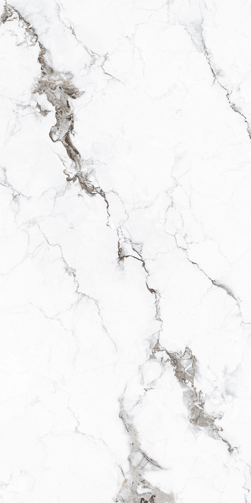 FTB15029 卡若拉白