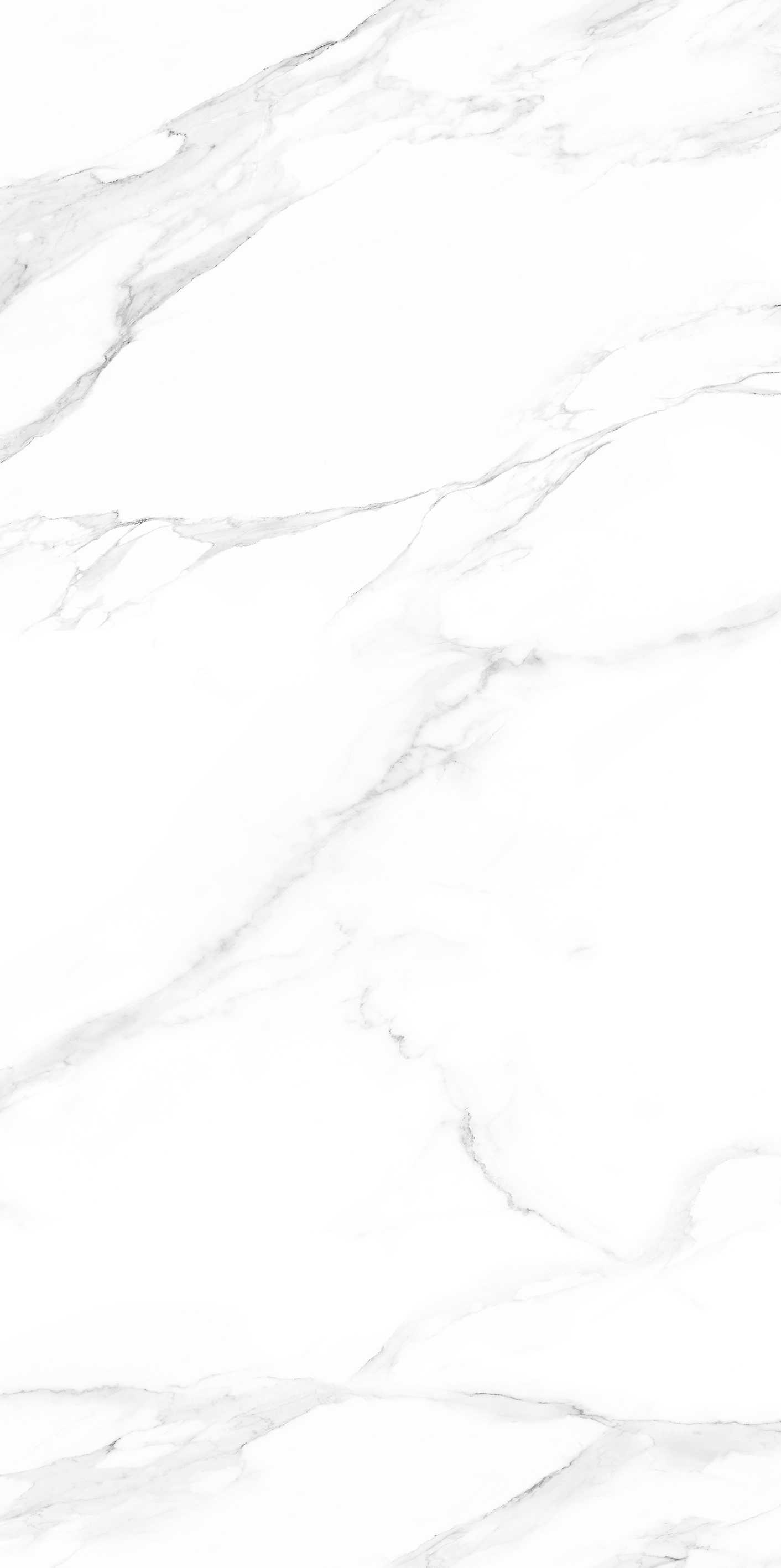 HJ241214馥芮白（亮光，橫向無限連紋）