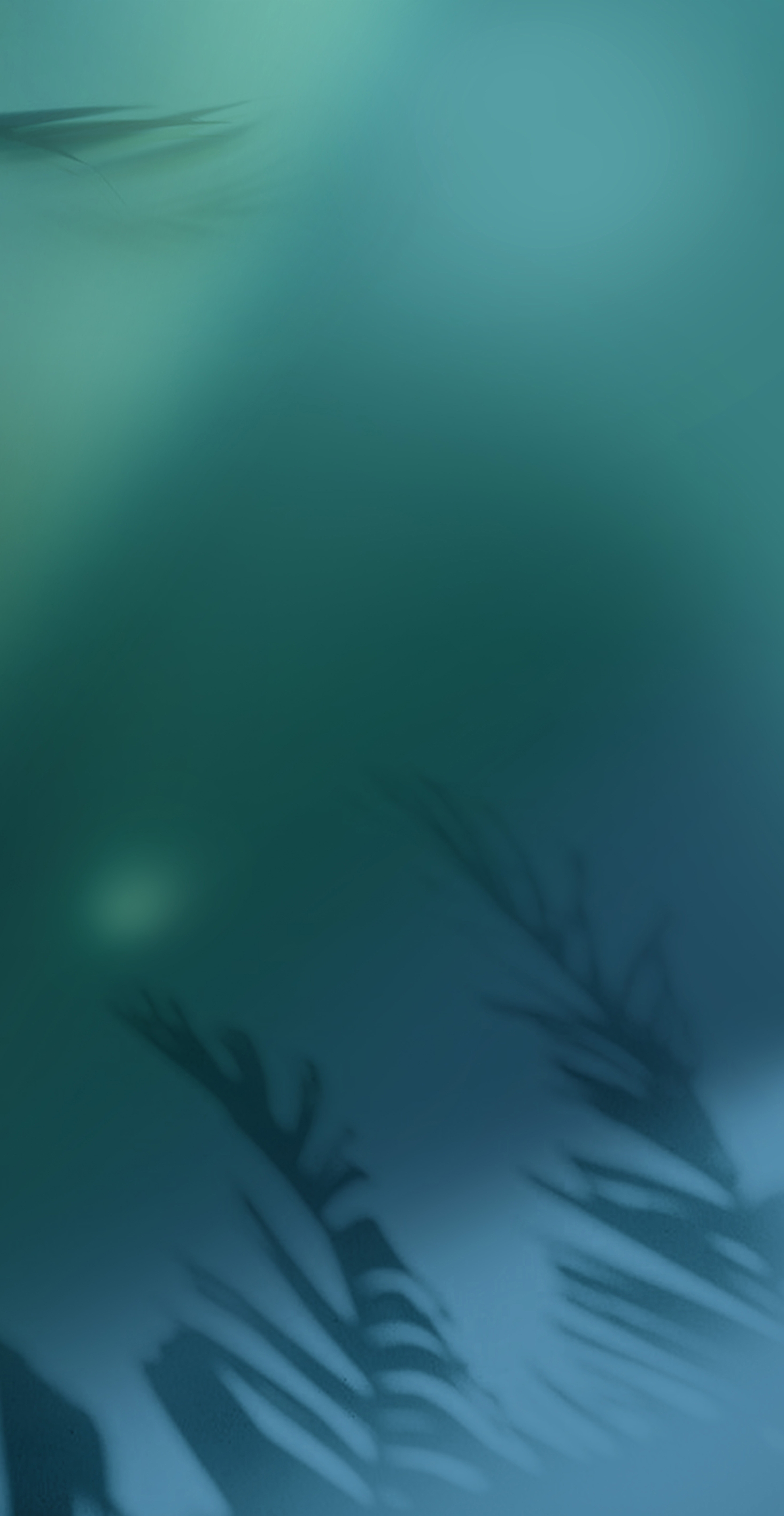 HJ9L2412018森影韶光（亮光，3片連紋）