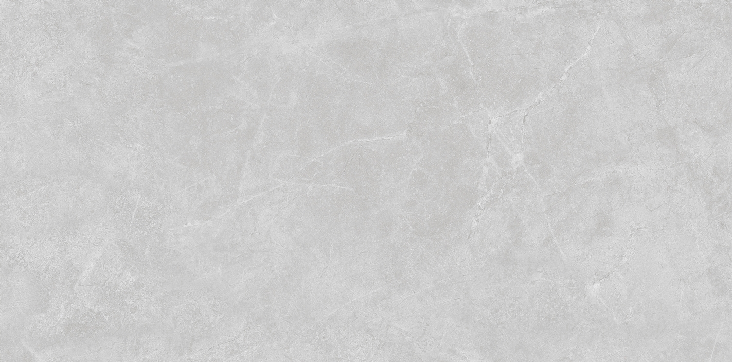 FTS48109愛丁堡灰