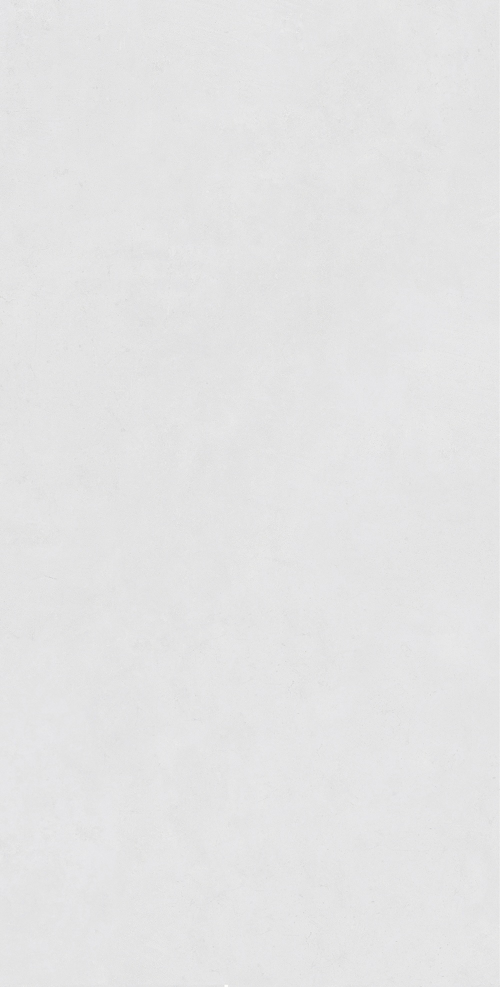 FTSZ12301A 墨凝灰