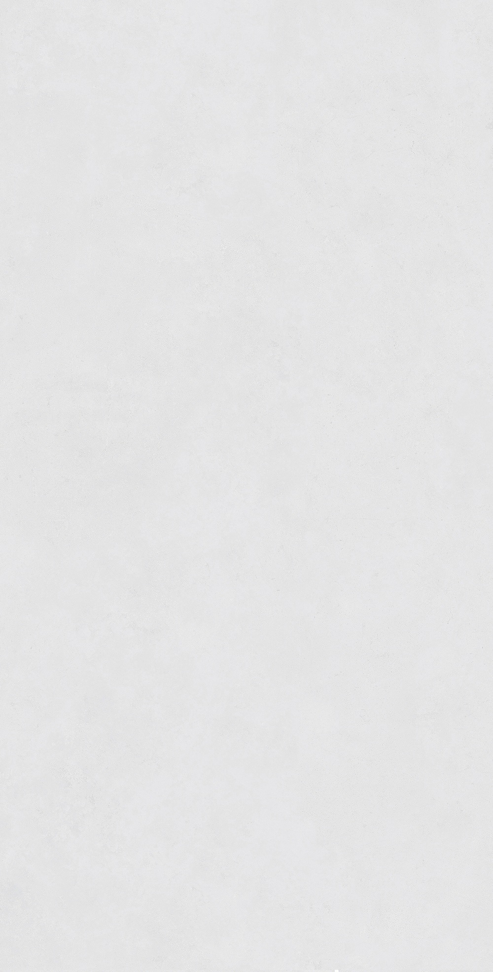 FTSZ12301A 墨凝灰