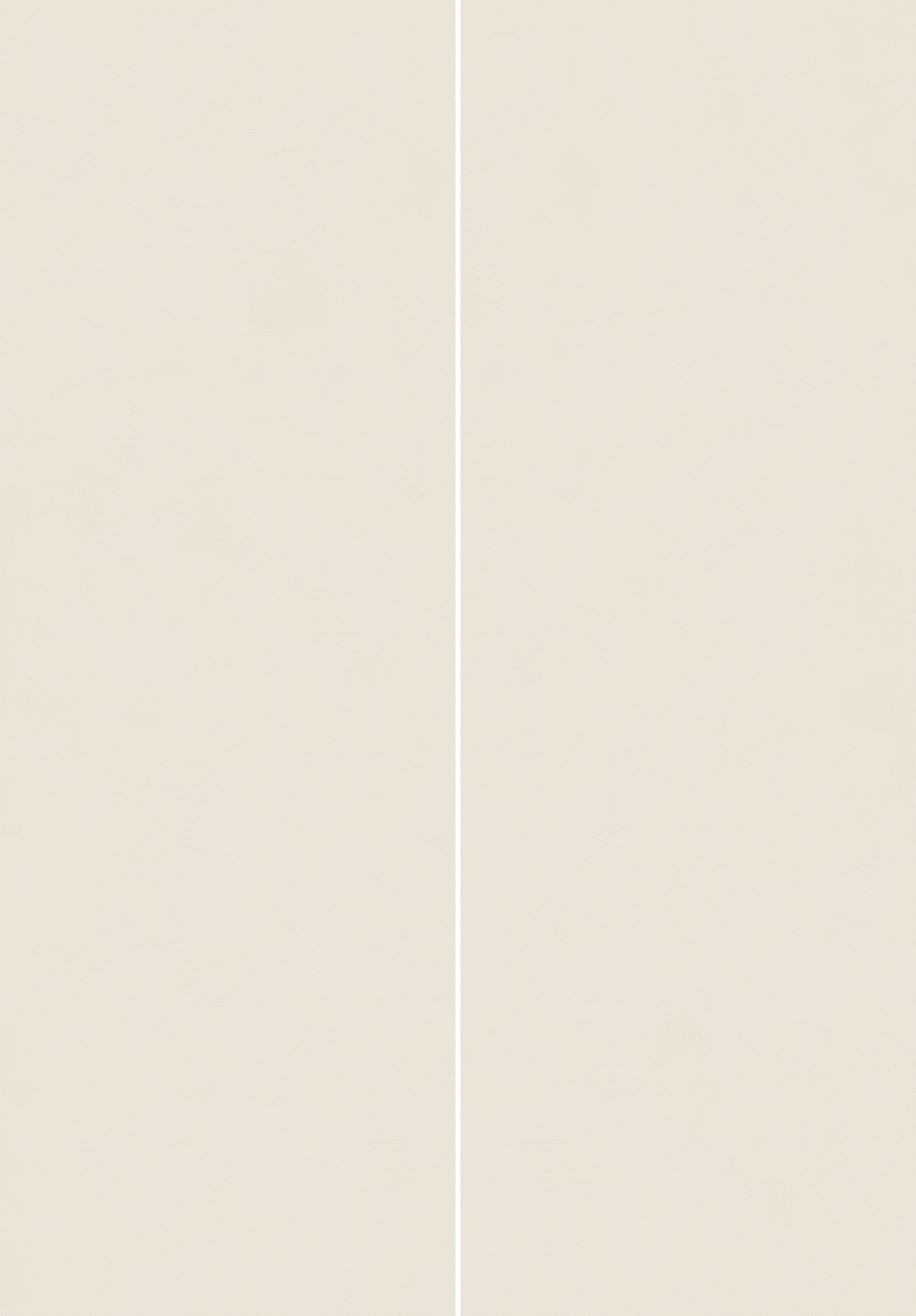 HJ9L2609078Y山遲桂落