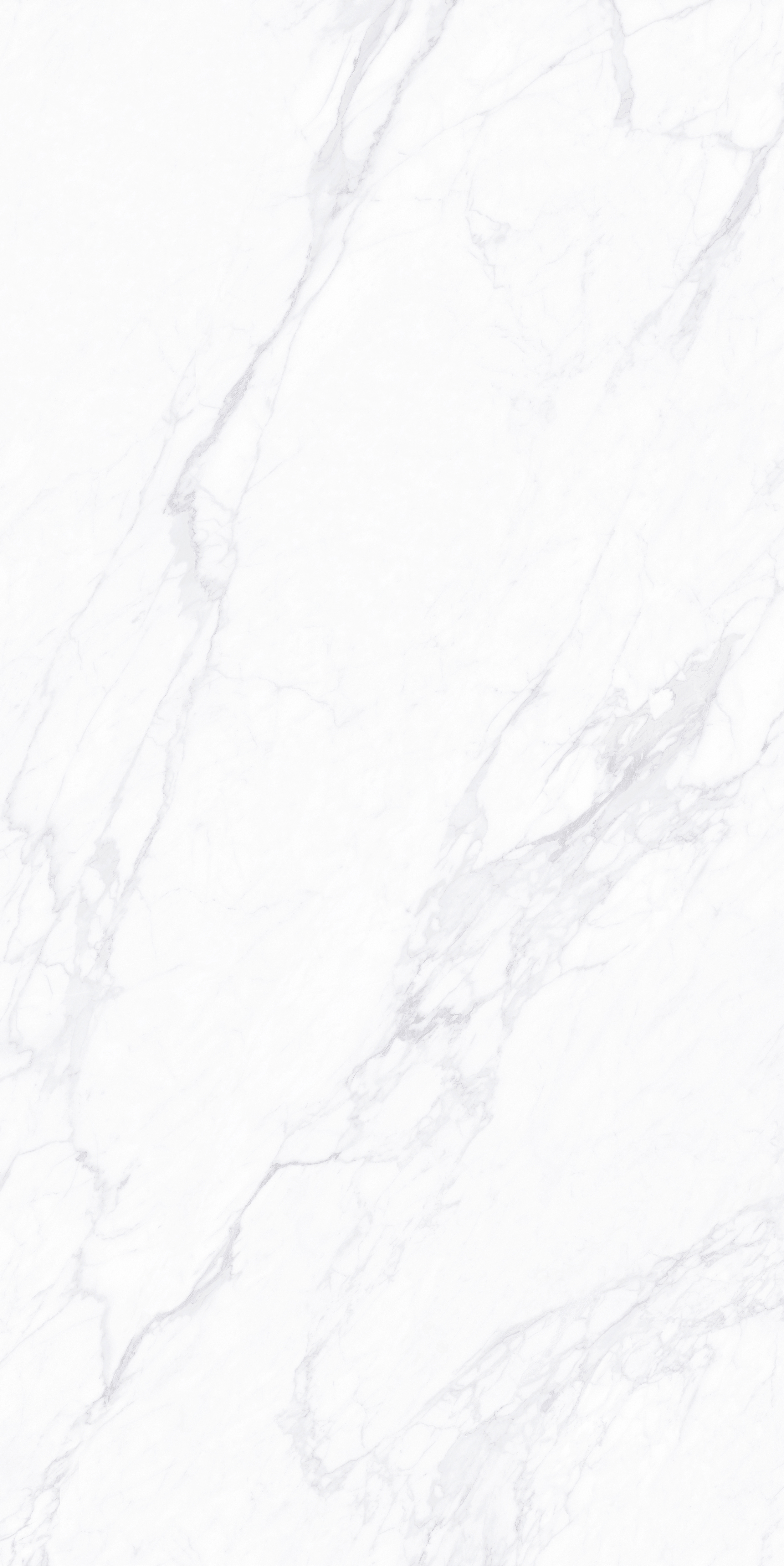 FTP18212雪落凝霜