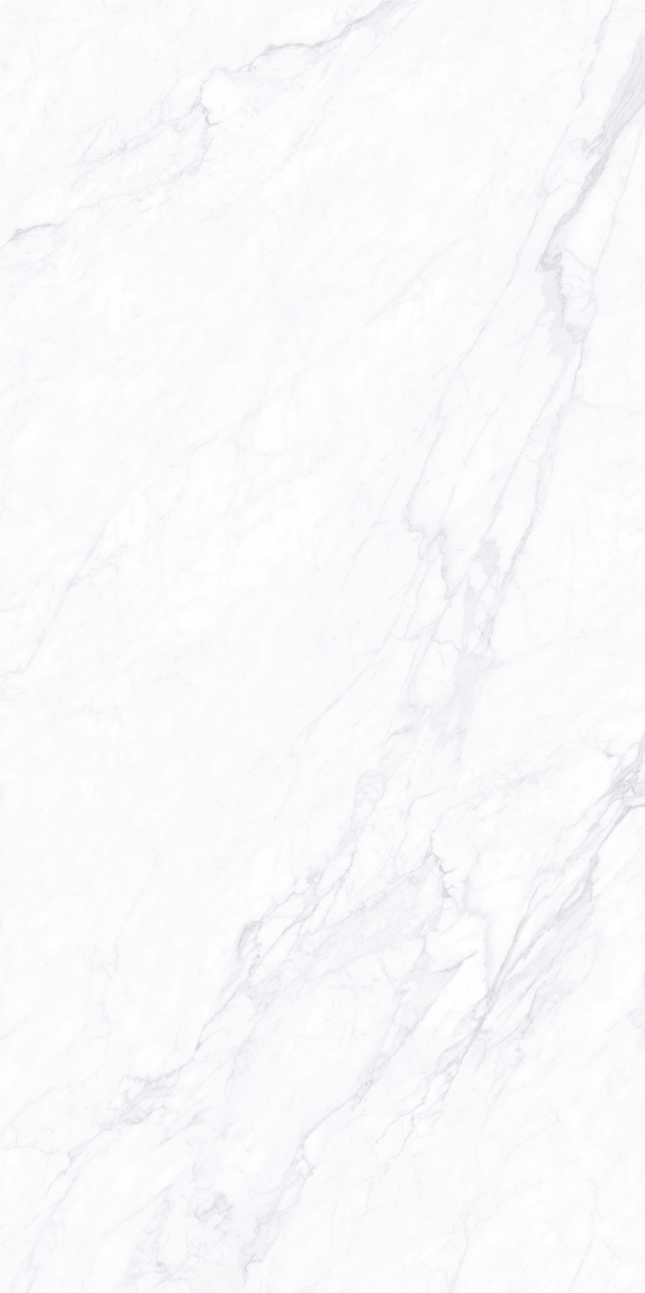 FTP18212雪落凝霜