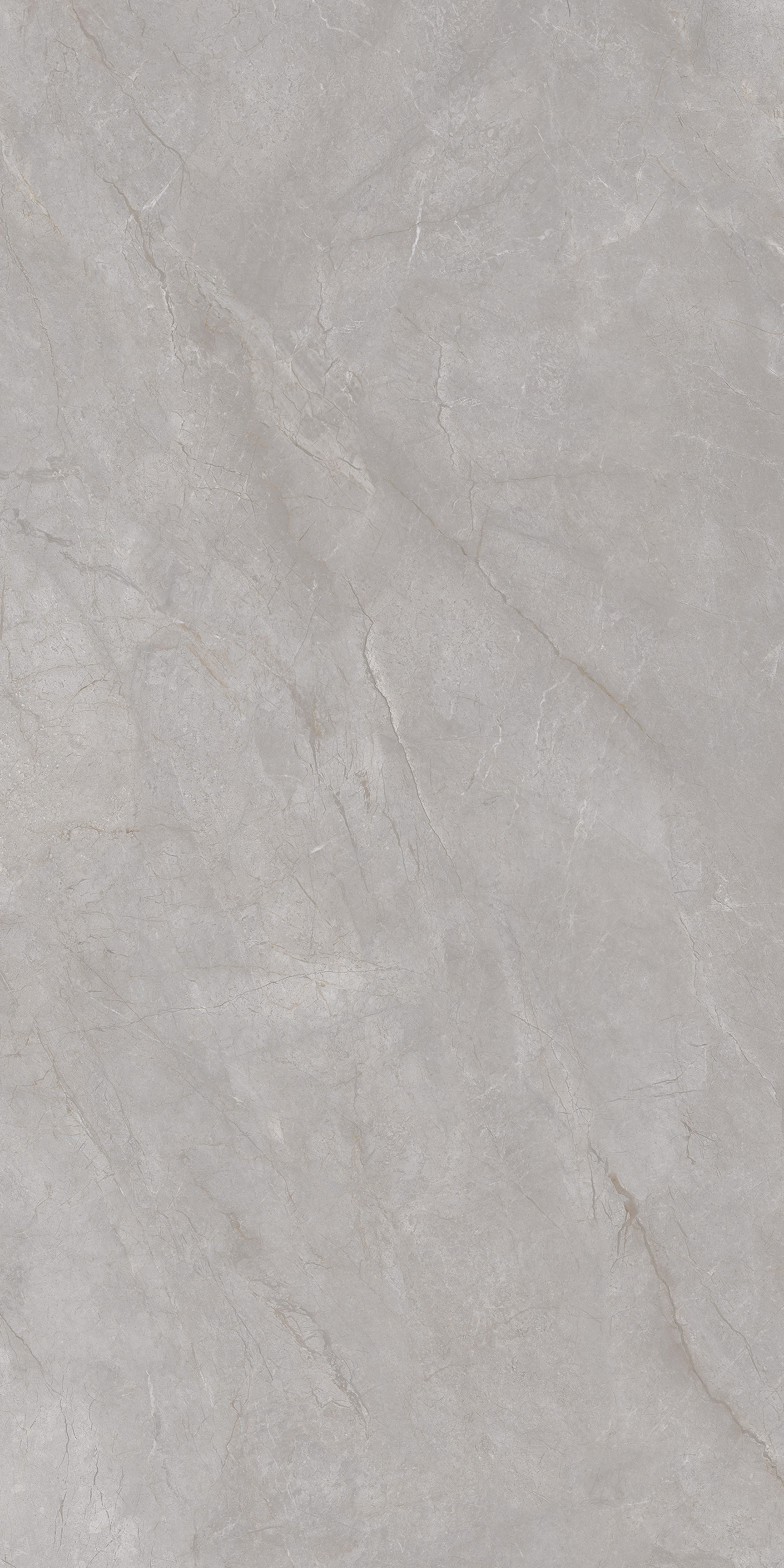 FTH18509安曼中灰（AB面）