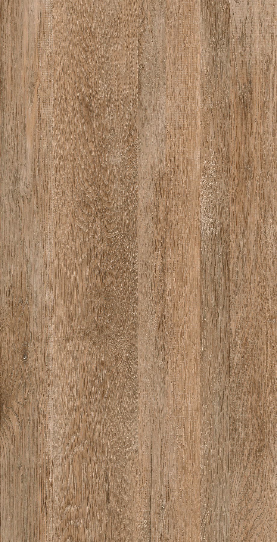 FTFZ12233B東方云木