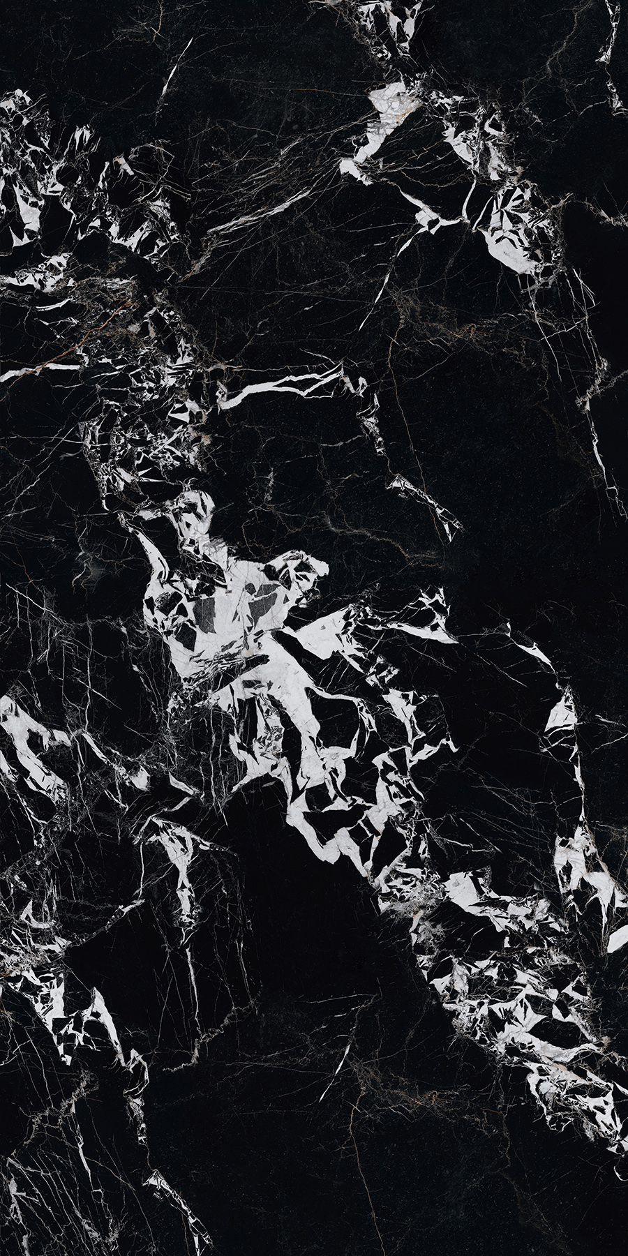 FTFZ12236寶格麗黑