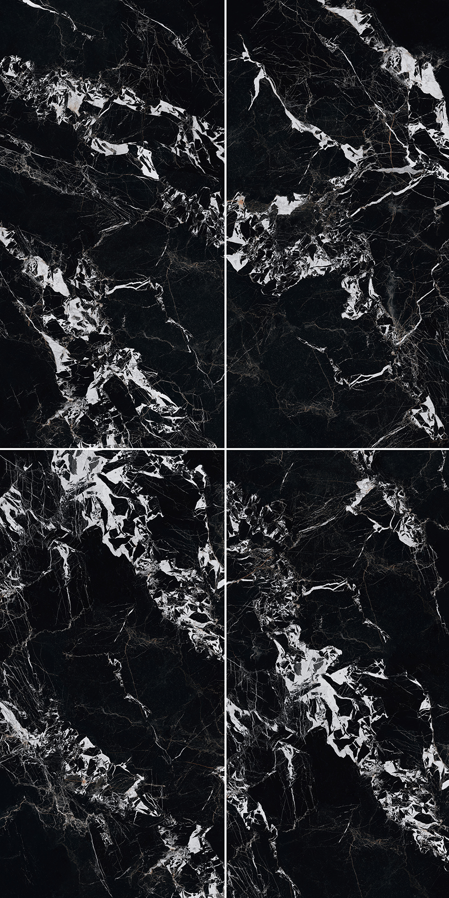 FTFZ12236寶格麗黑