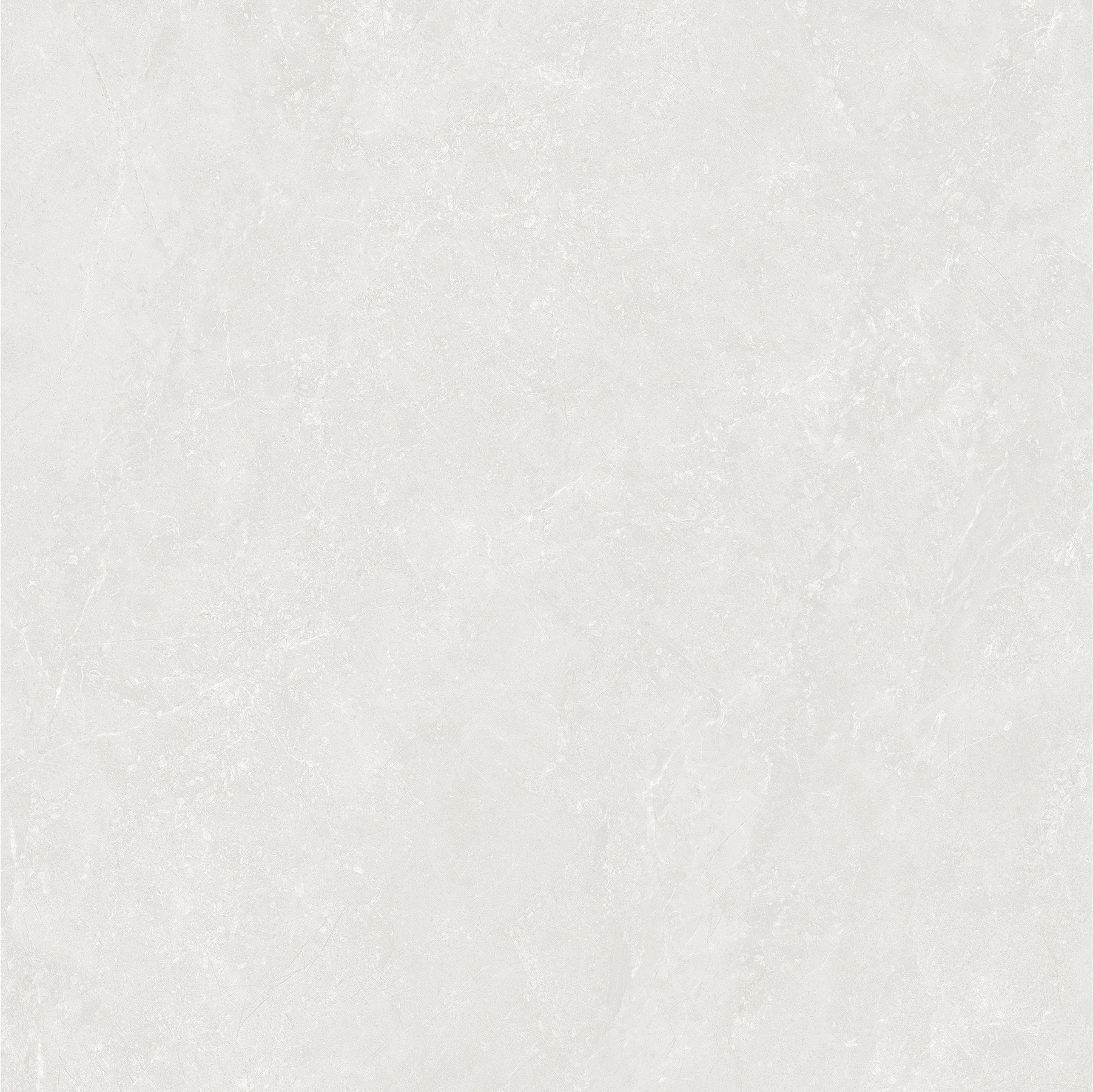 OFTD80362A云澗淺啡