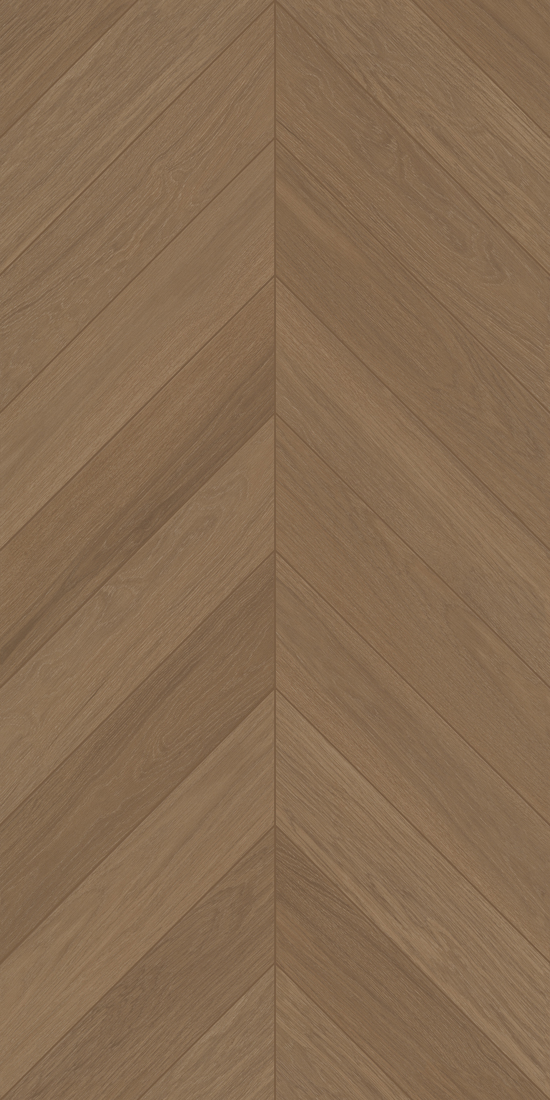 FTFZ12238B雅致沉香