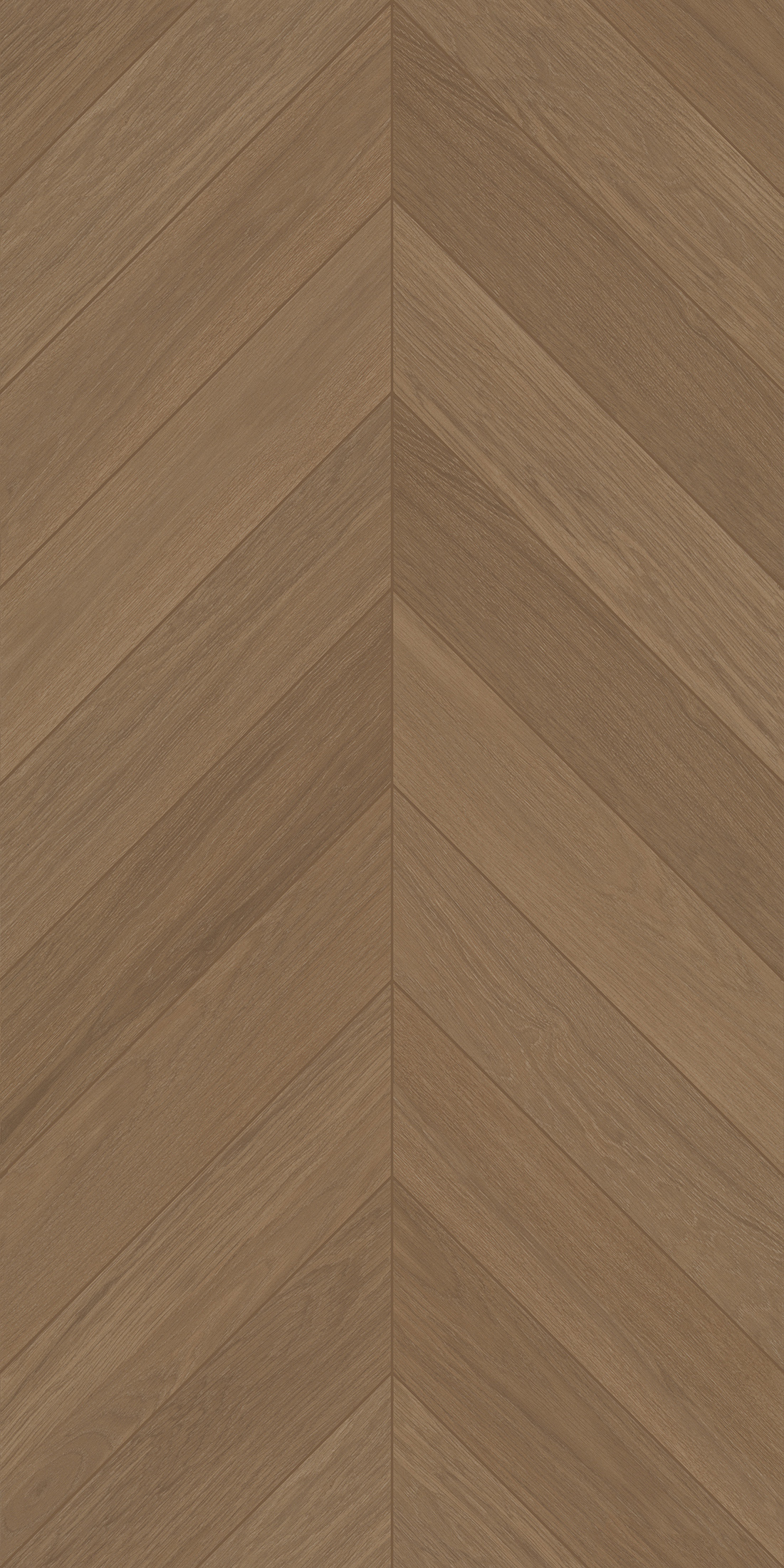 FTFZ12238B雅致沉香