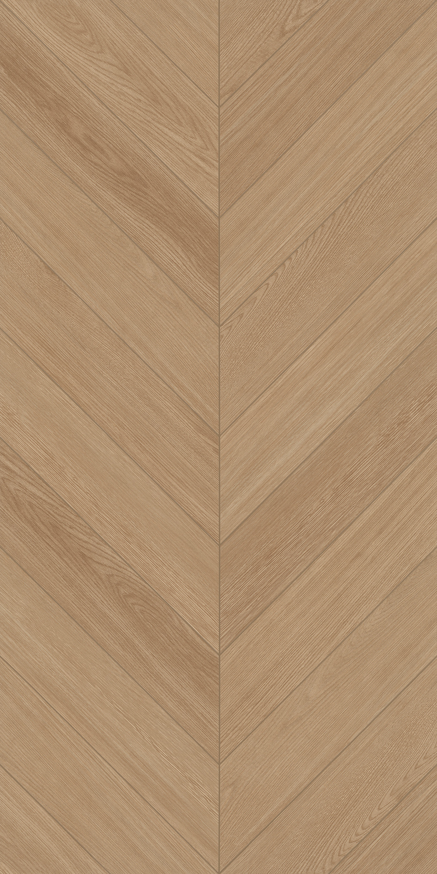 FTFZ12237B摩卡時(shí)光