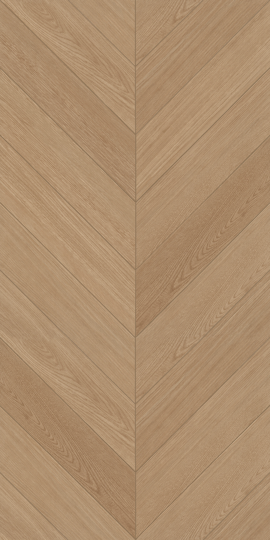 FTFZ12237B摩卡時(shí)光