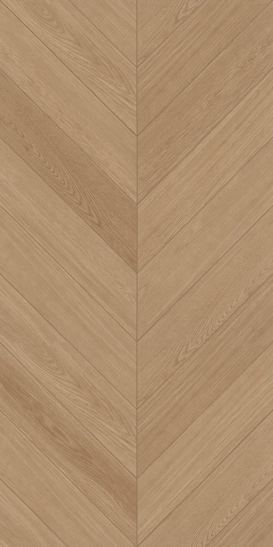 FTFZ12237B摩卡時(shí)光