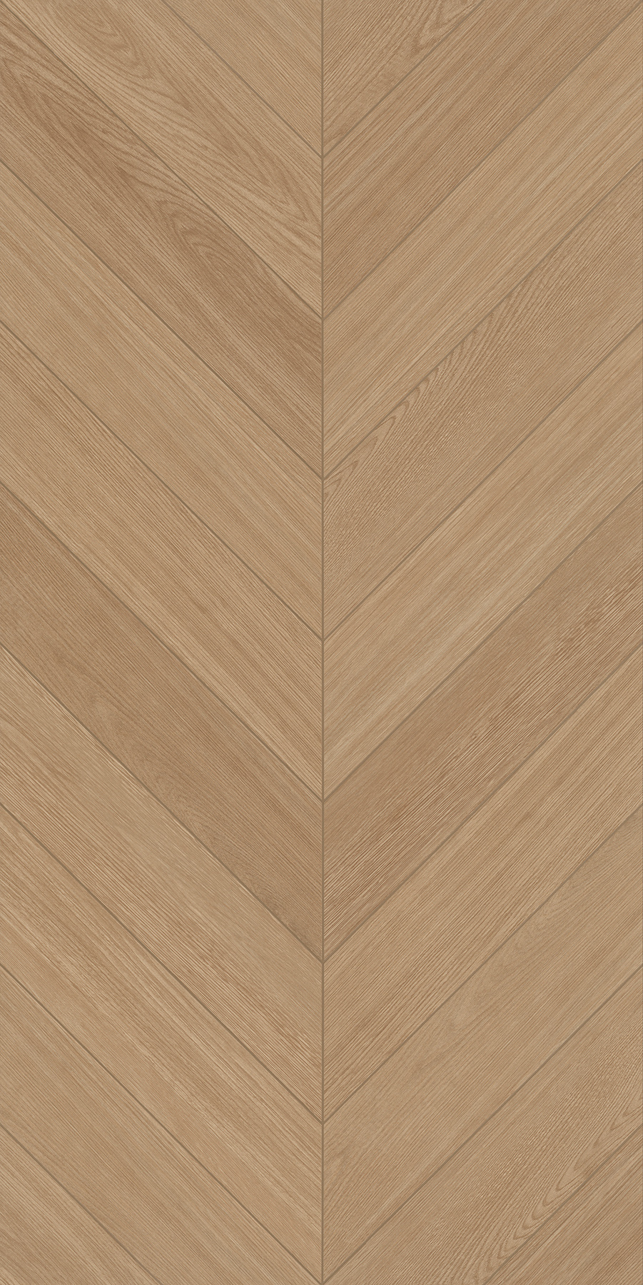 FTFZ12237B摩卡時(shí)光