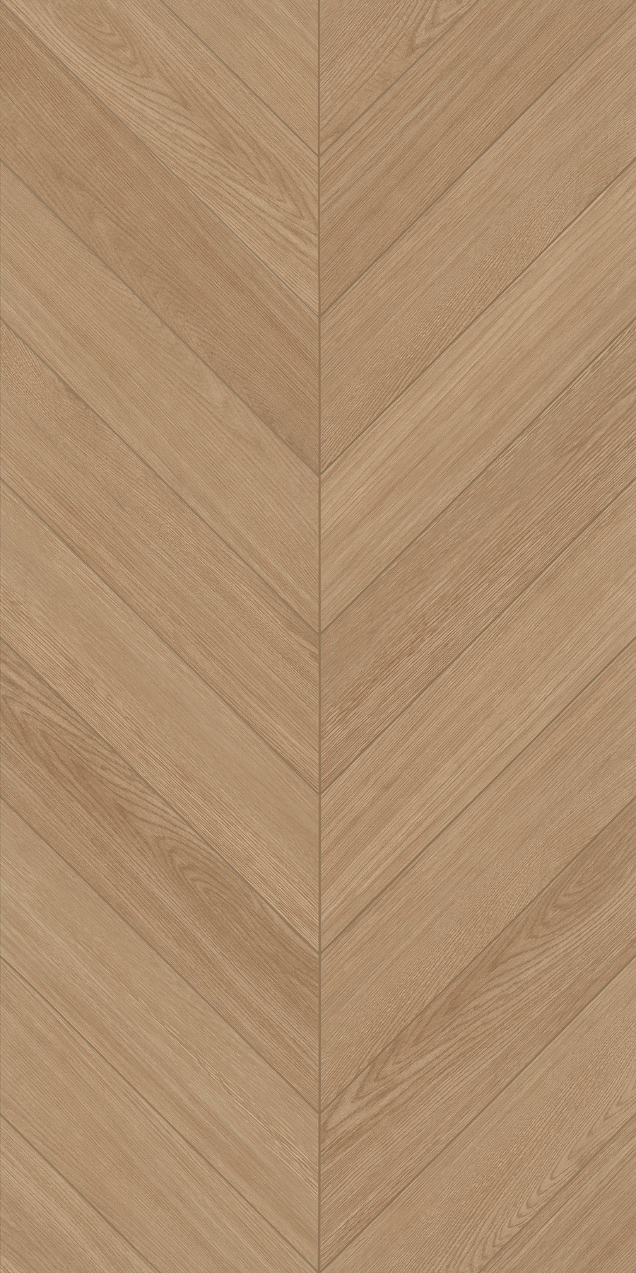 FTFZ12237B摩卡時(shí)光