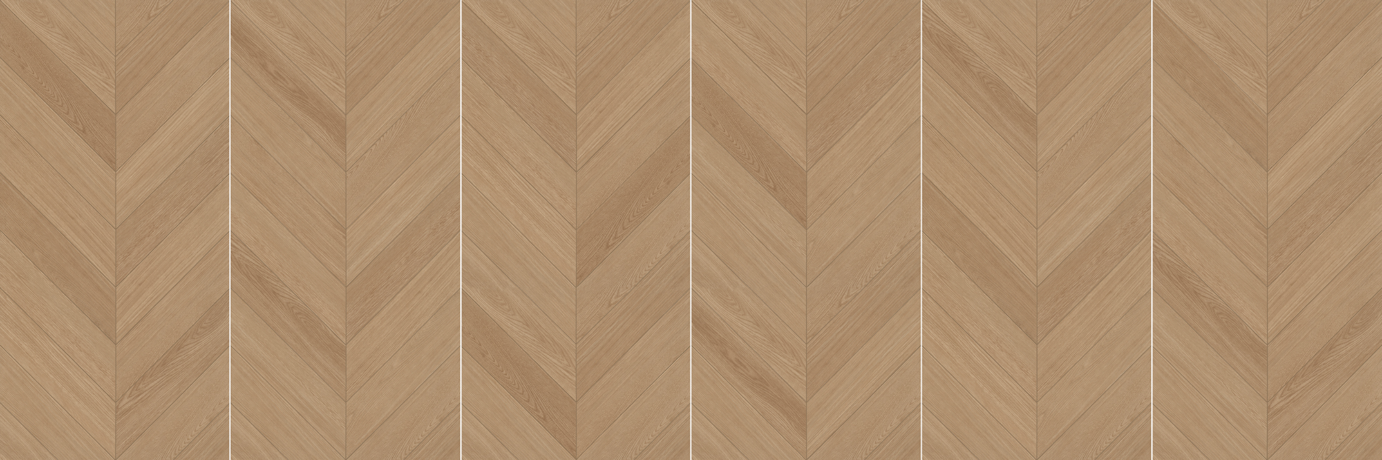 FTFZ12237B摩卡時(shí)光