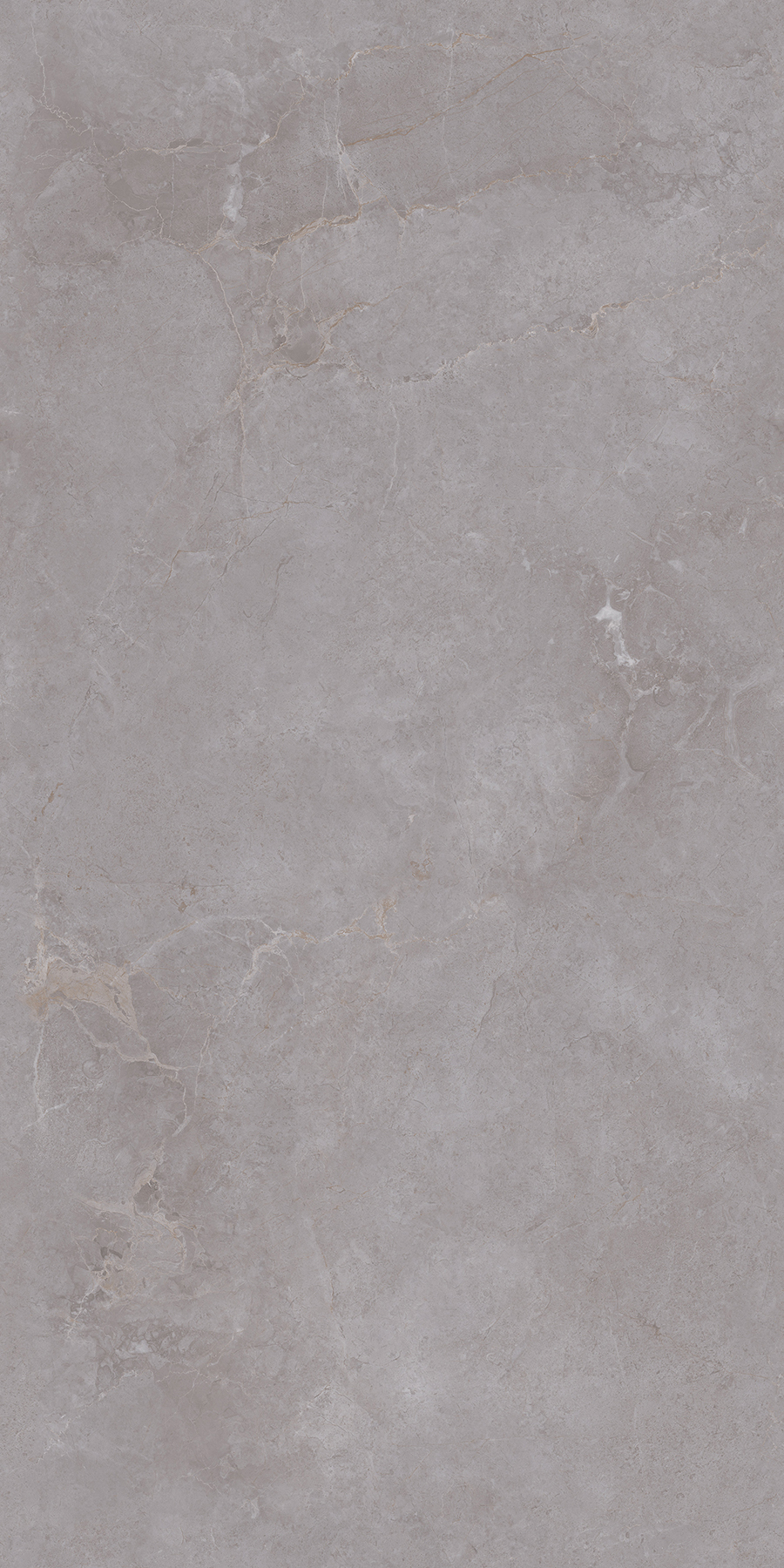 FTDZ12147布朗納斯