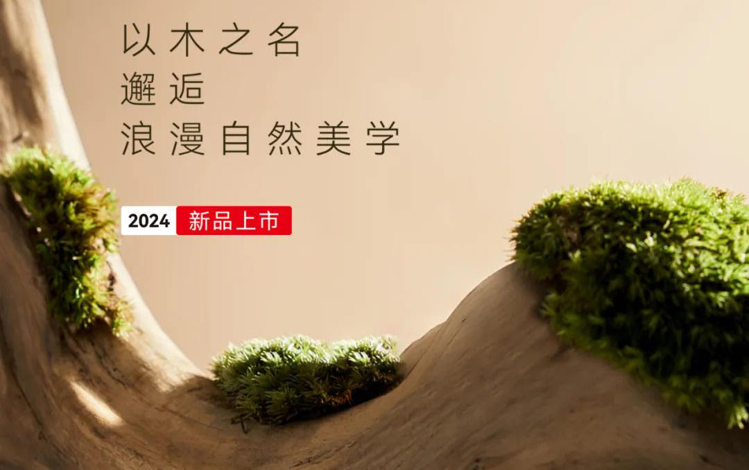 【木外系列】木之造物，美自天成