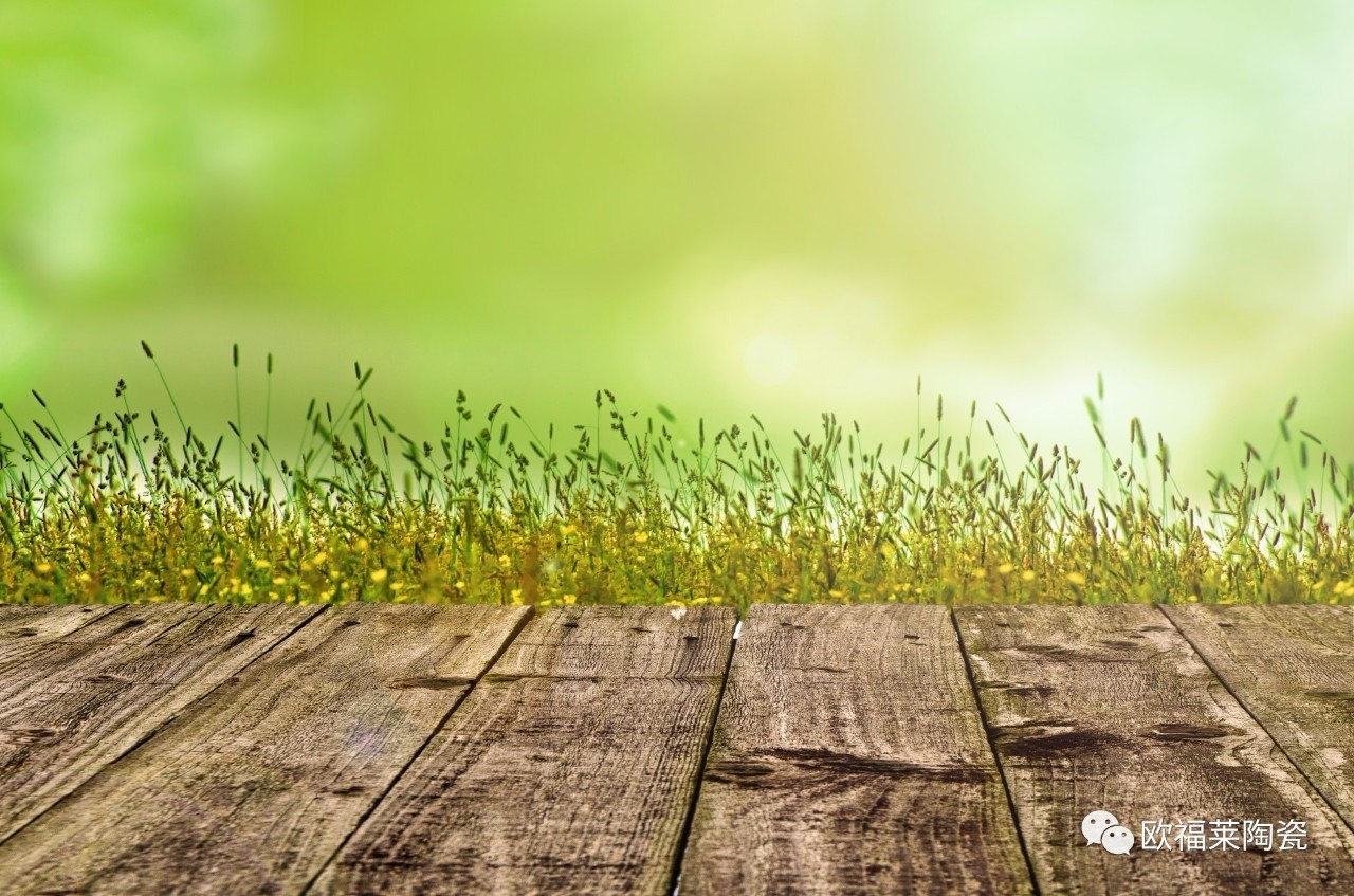 1504573851109610.jpg 06.jpg