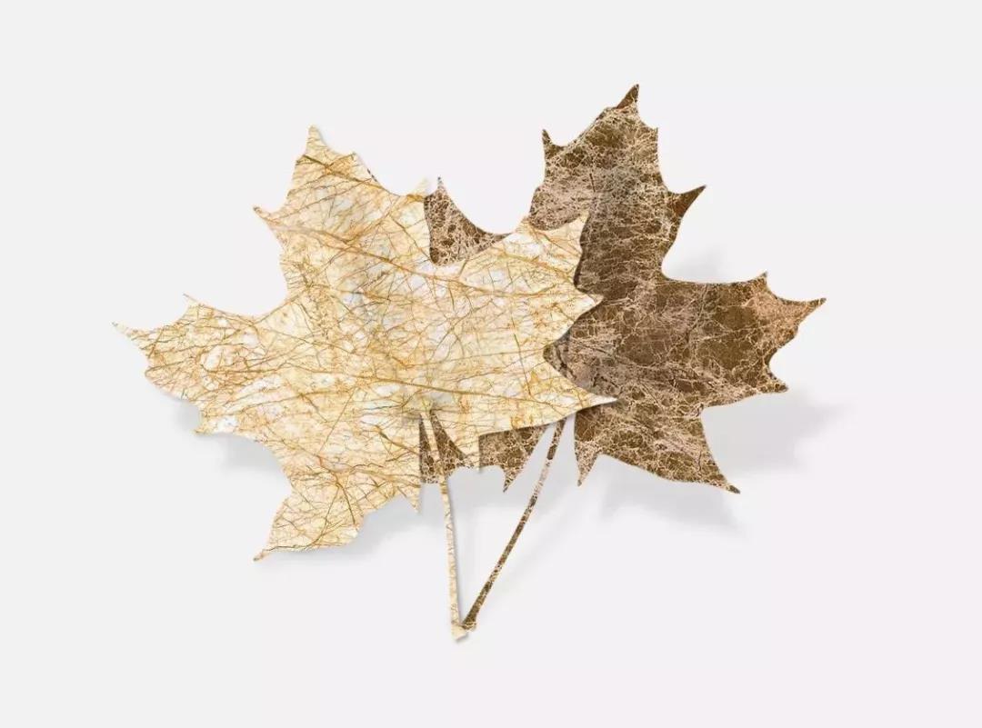 1537846881693715.jpg 微信圖片_20180925113700.jpg